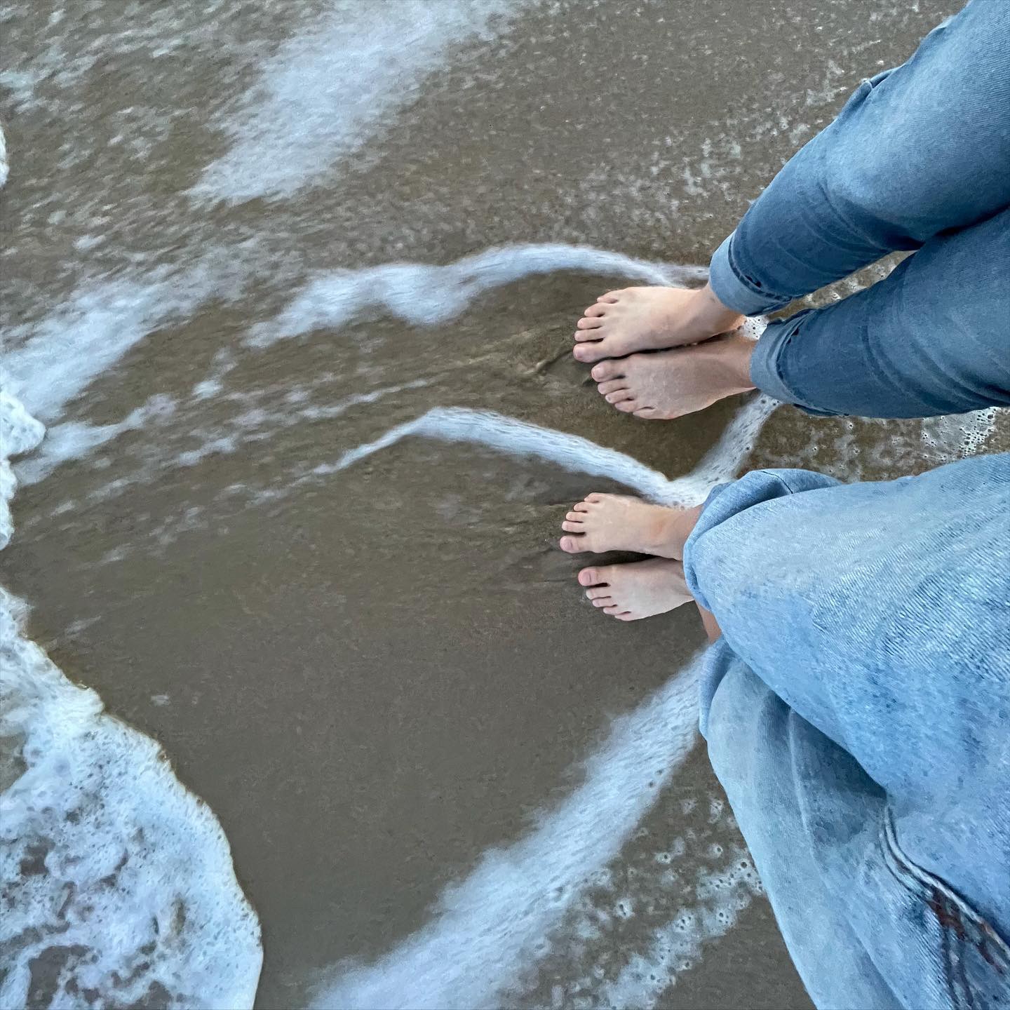 낙하하는 피노누아