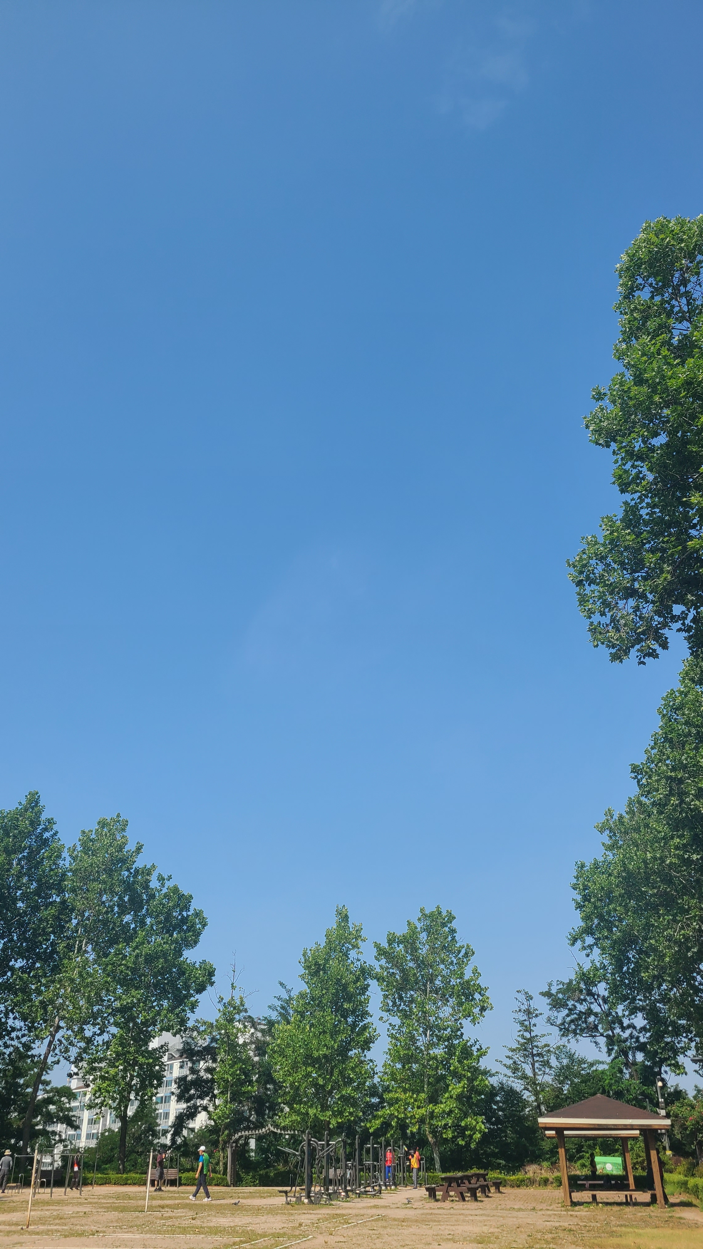 글이되고픈 초보