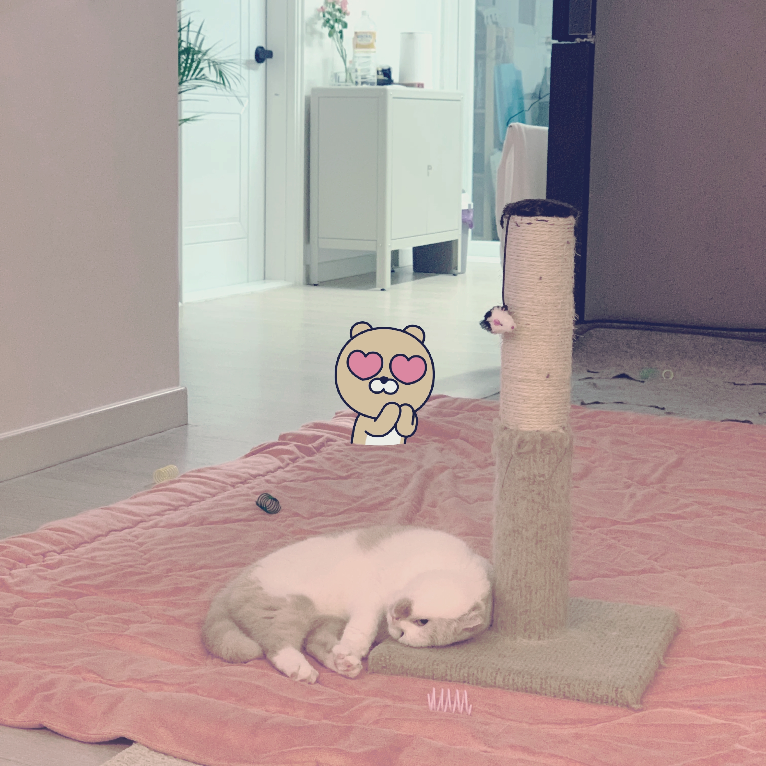 독자ㄹㅁㄴㅇㄹㅁㄴㅎㅁㅇㄴㅎㅁㅇㄴㅎㅇㅁㄴㅁㄴㅇㅎ