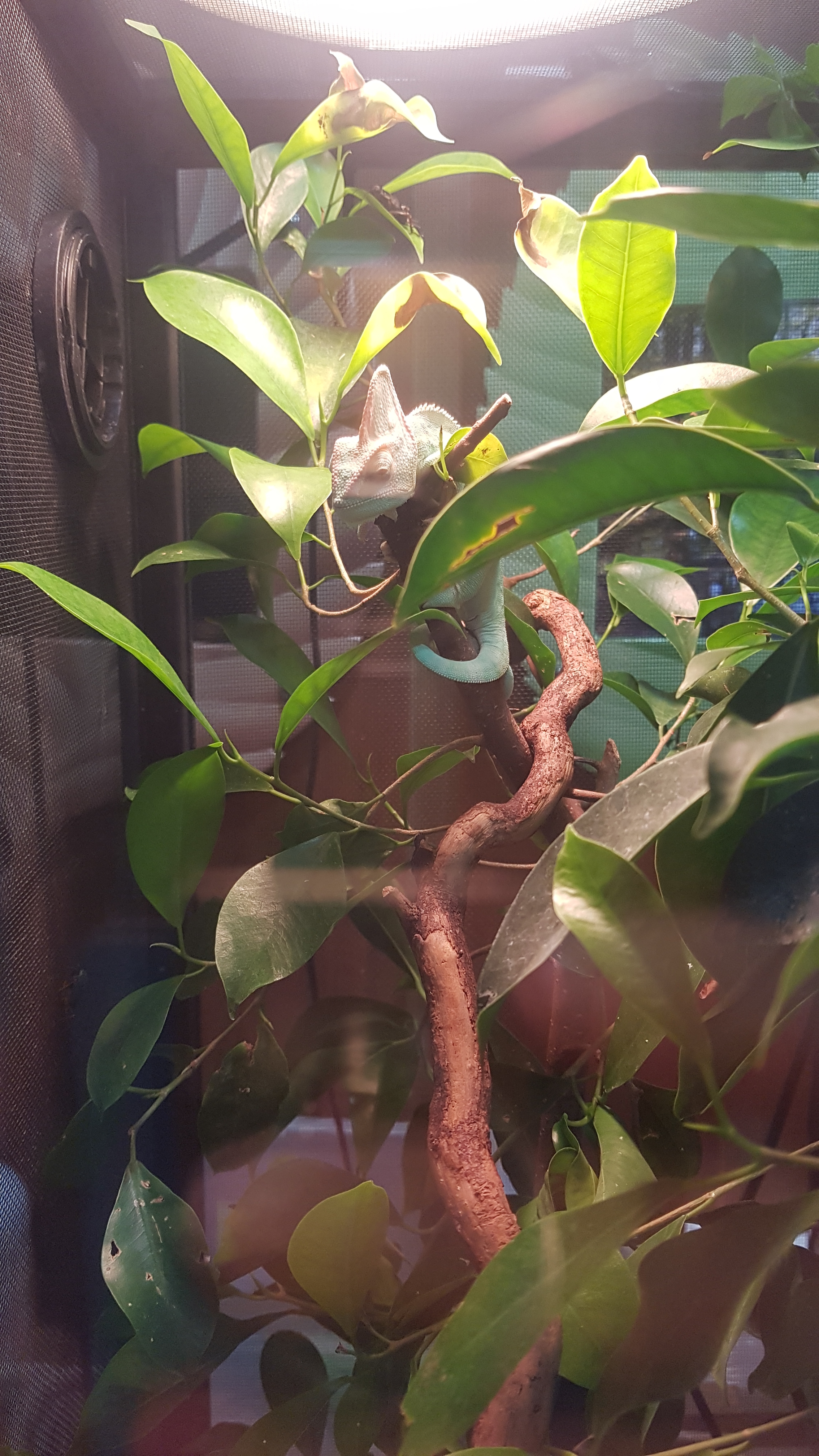 오른방향 화살표