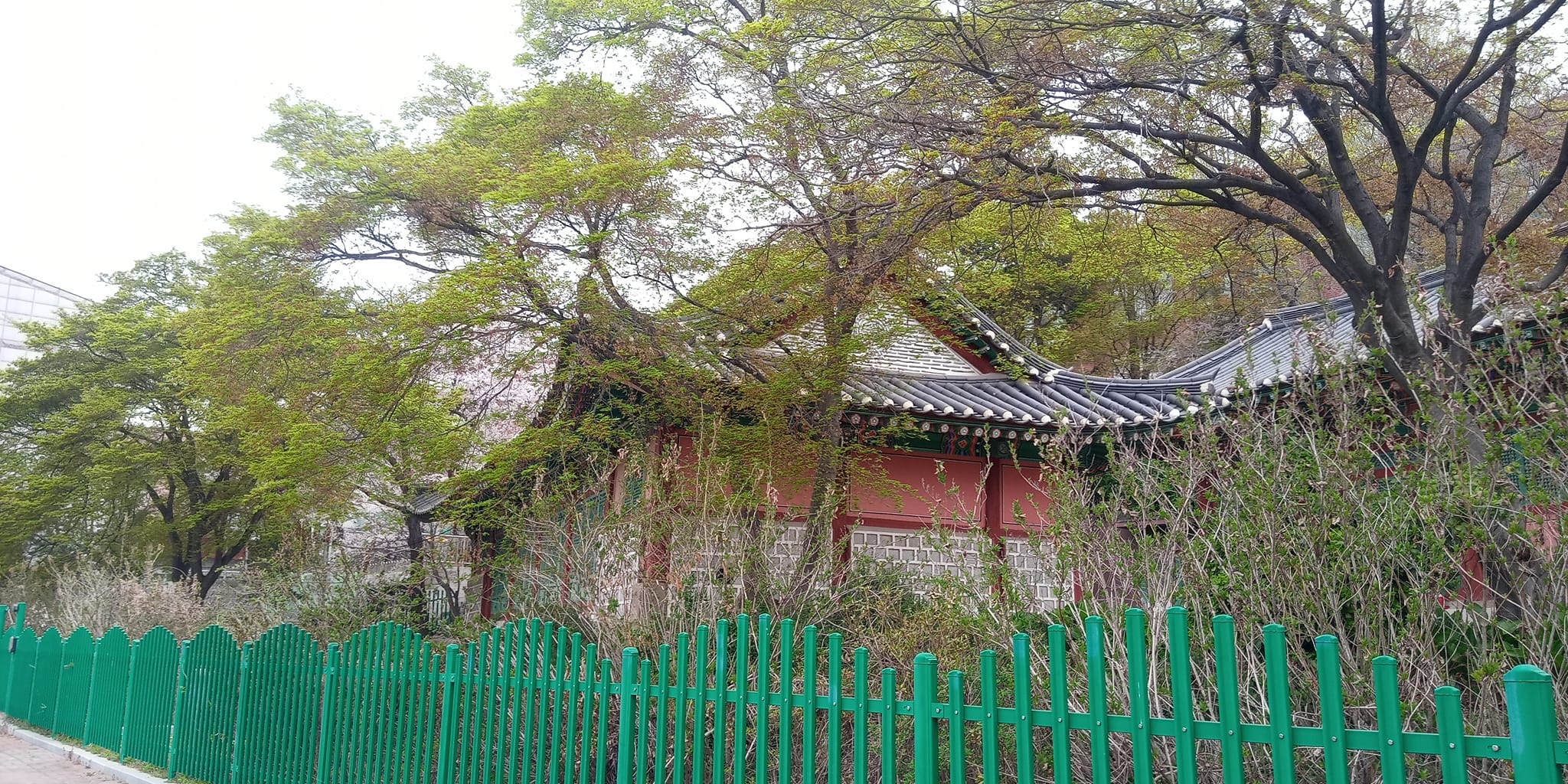 문학초등학교 이미지