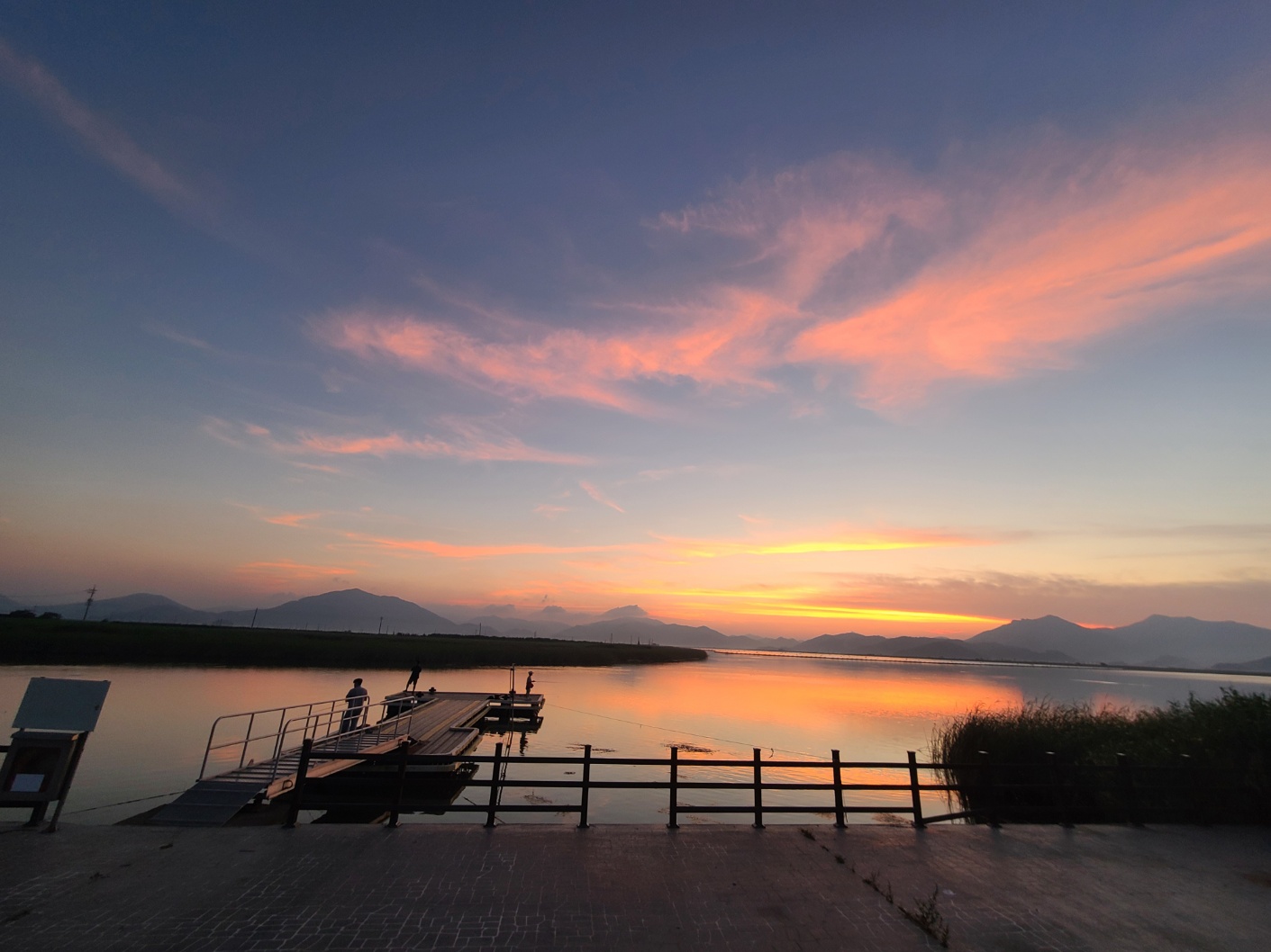피터팬이 되고 싶은 하이디