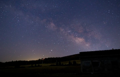 작지만 소중한존재