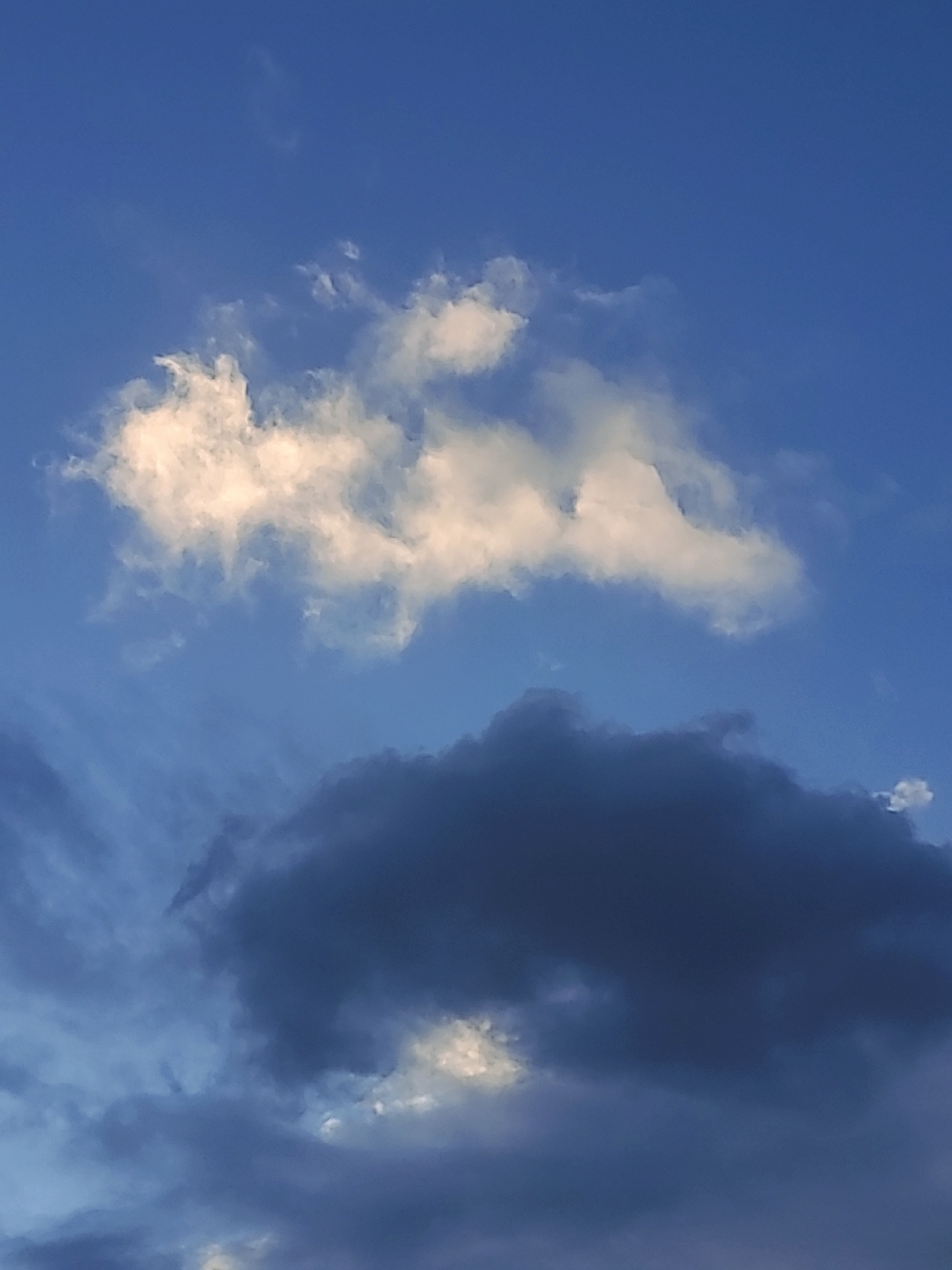 마음의 안정을 위해