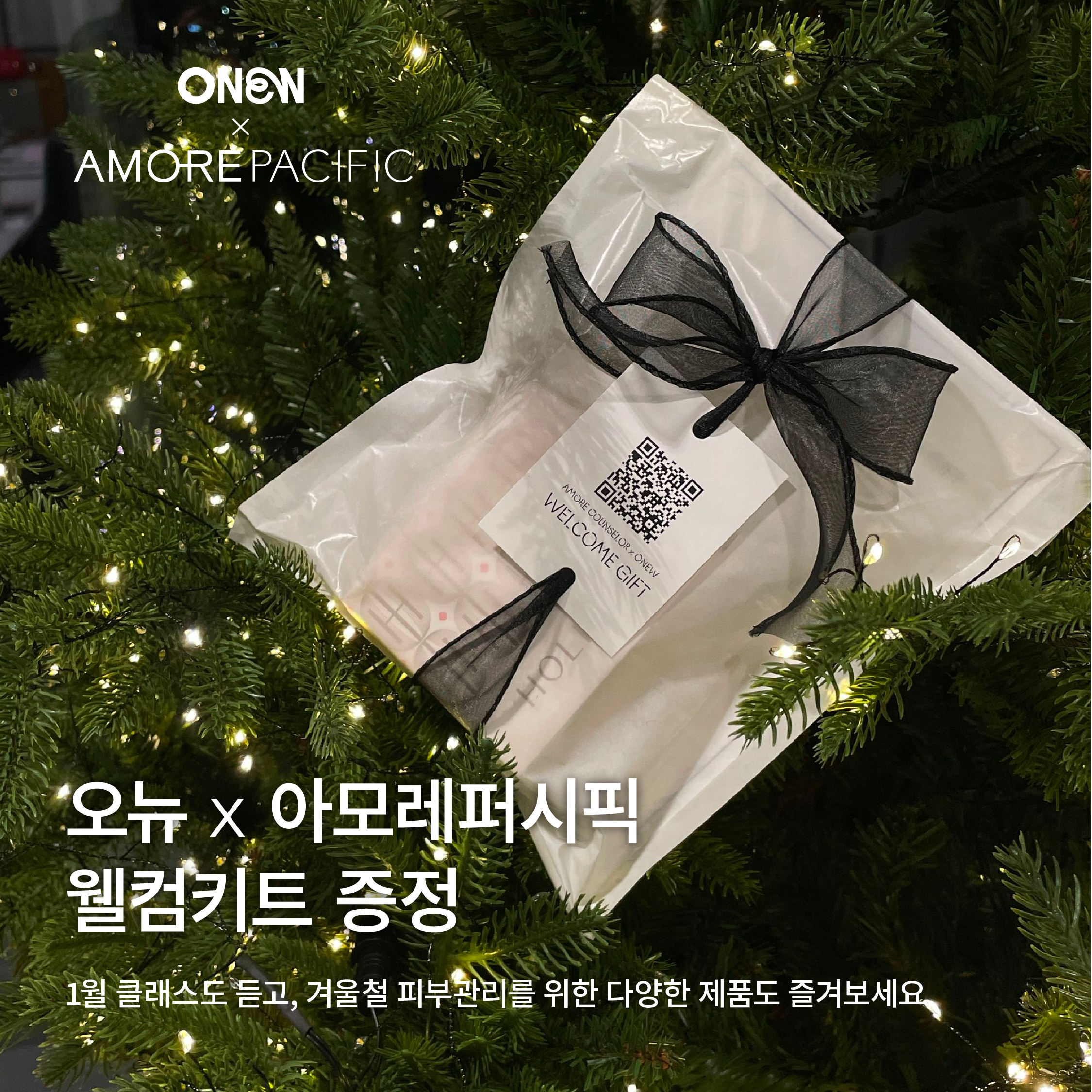 오뉴 이미지
