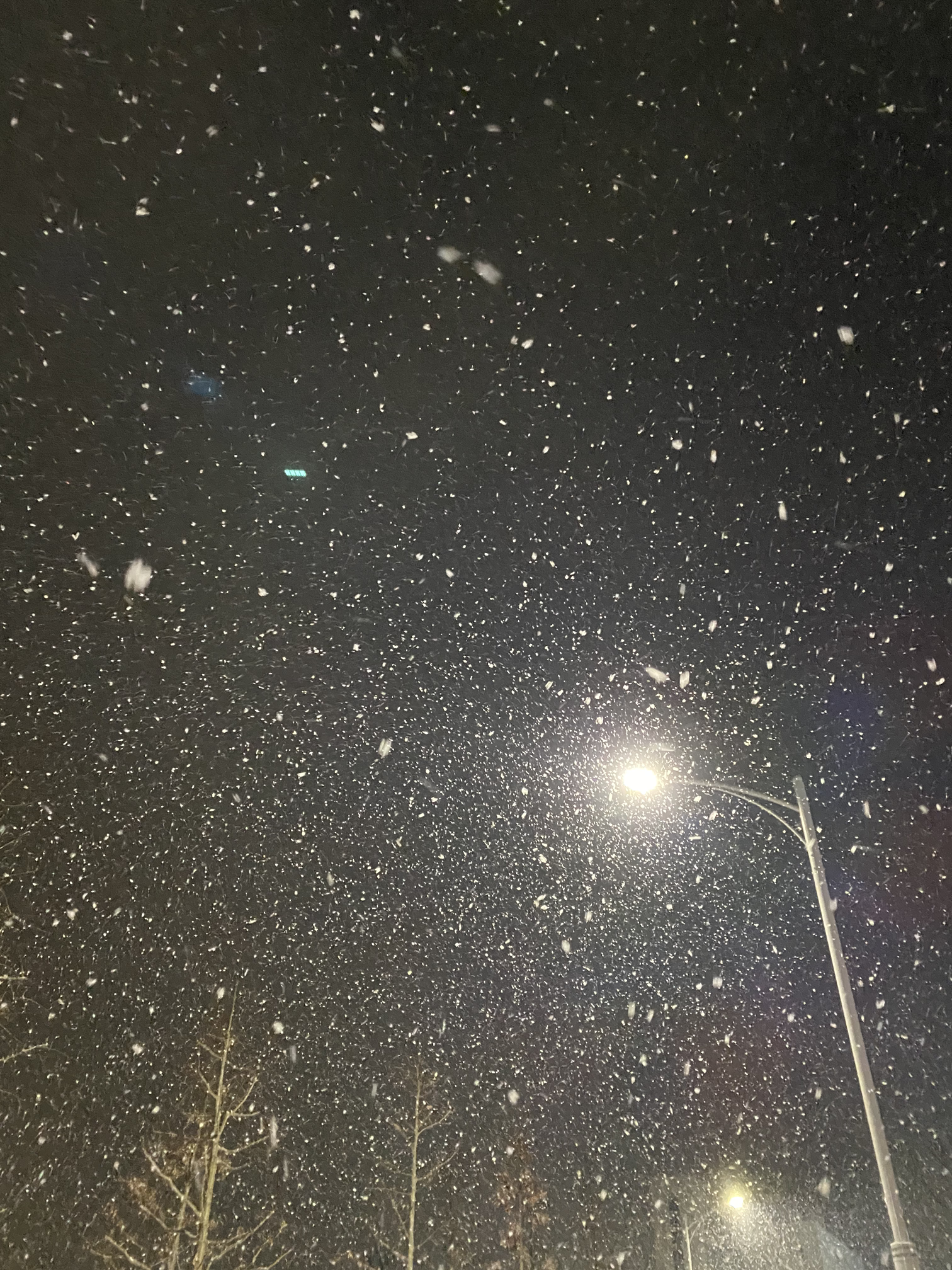 빌다인잠카이트