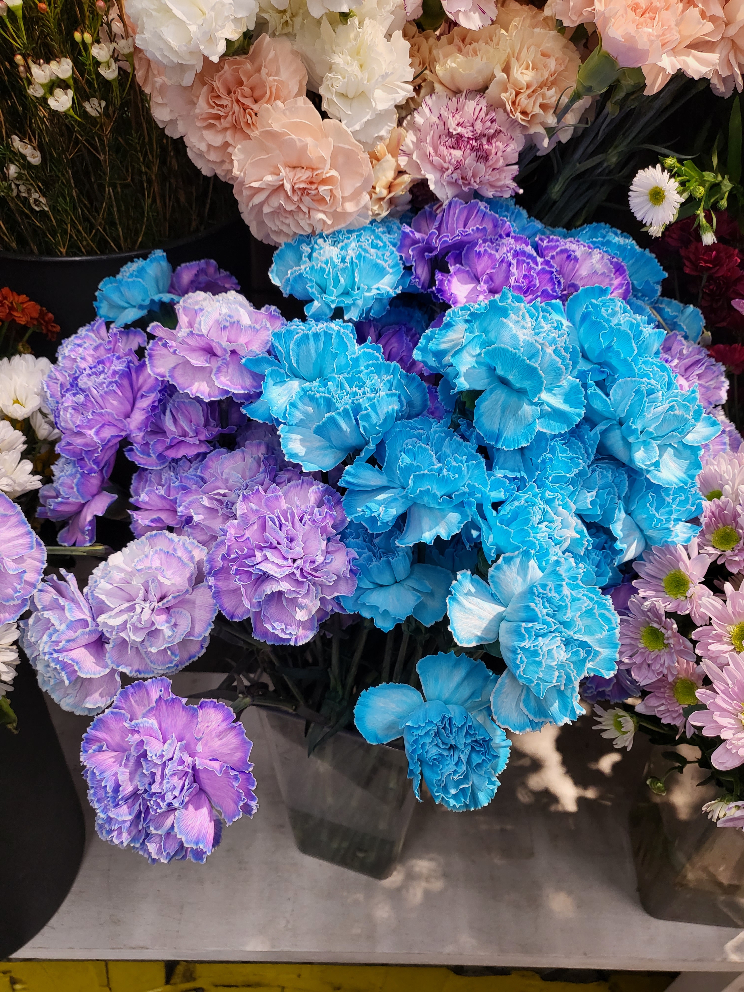 Blue violet
