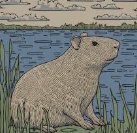 회복이필요한법