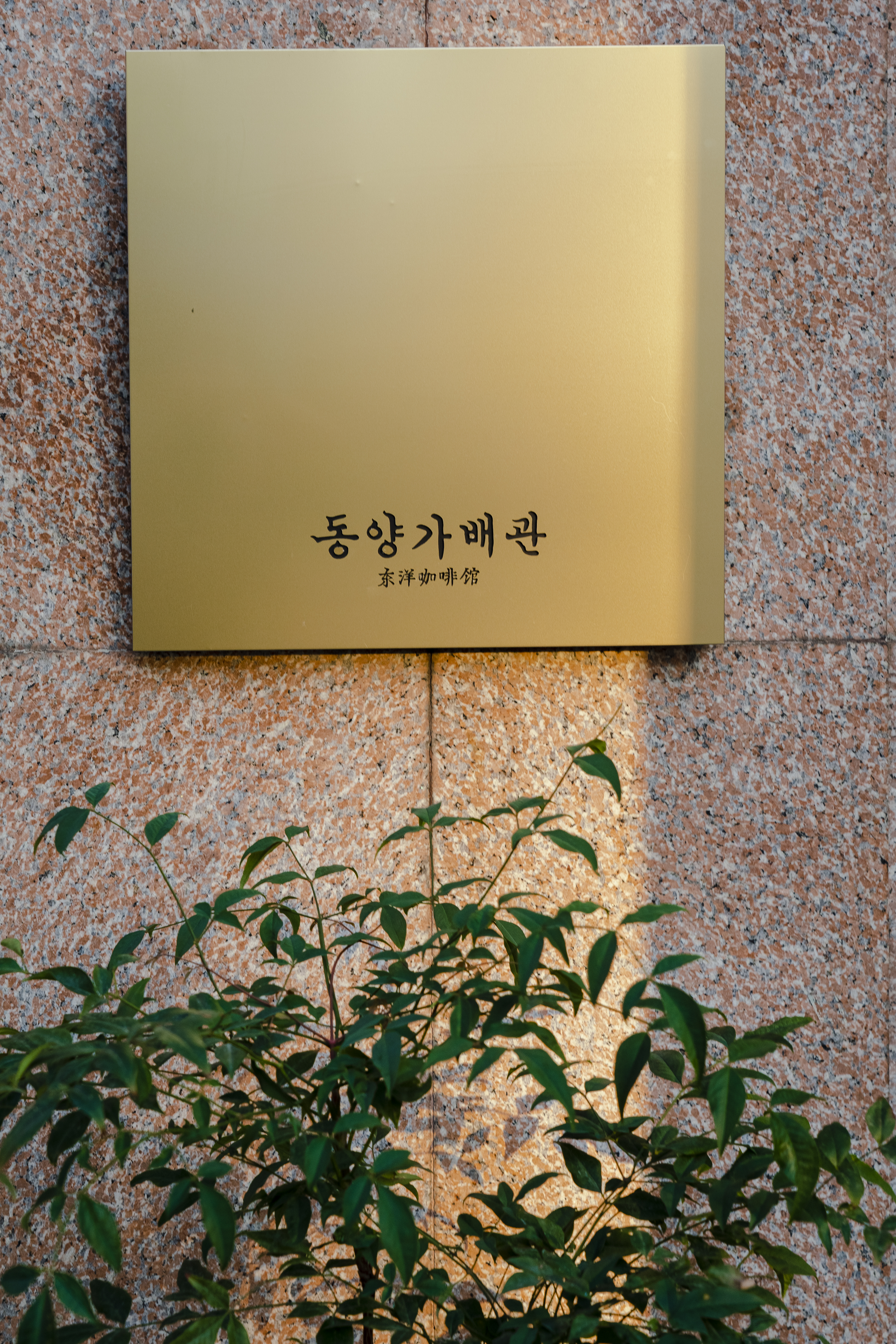 동양가배관 이미지