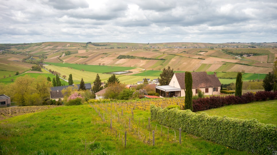 나인에코 이미지