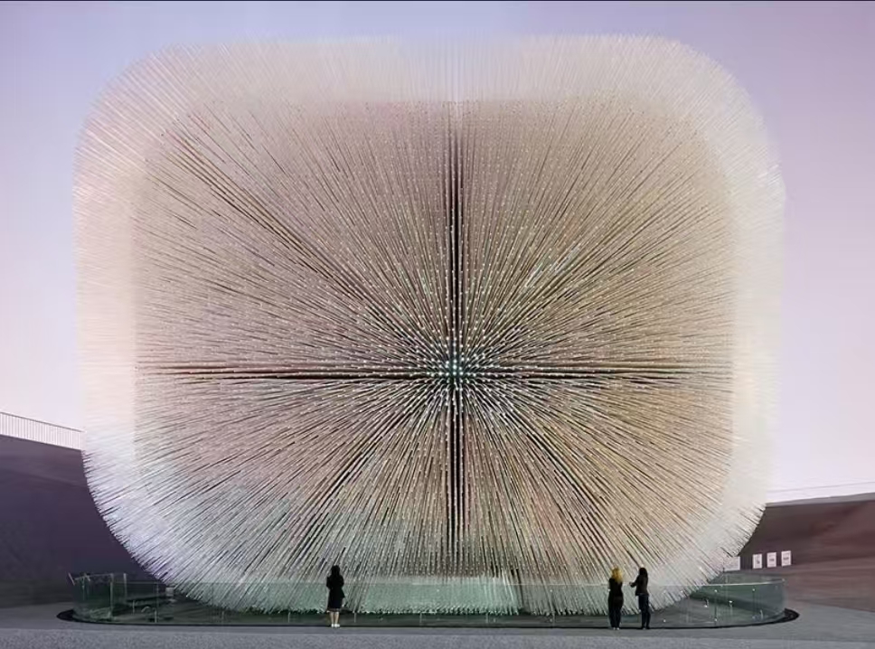 천과나무 이미지