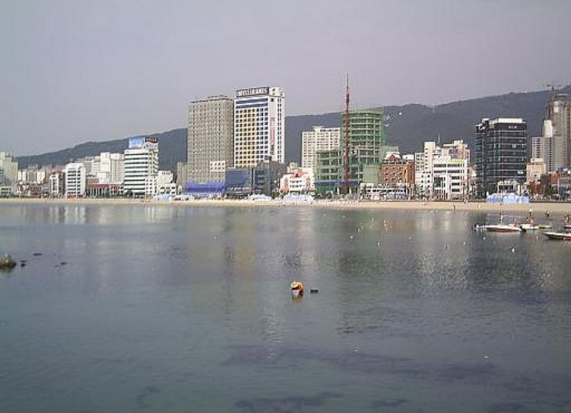 달팽이숲 이미지