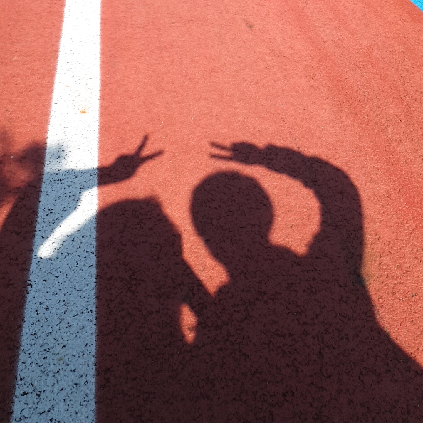 딴딴이와 말랑이