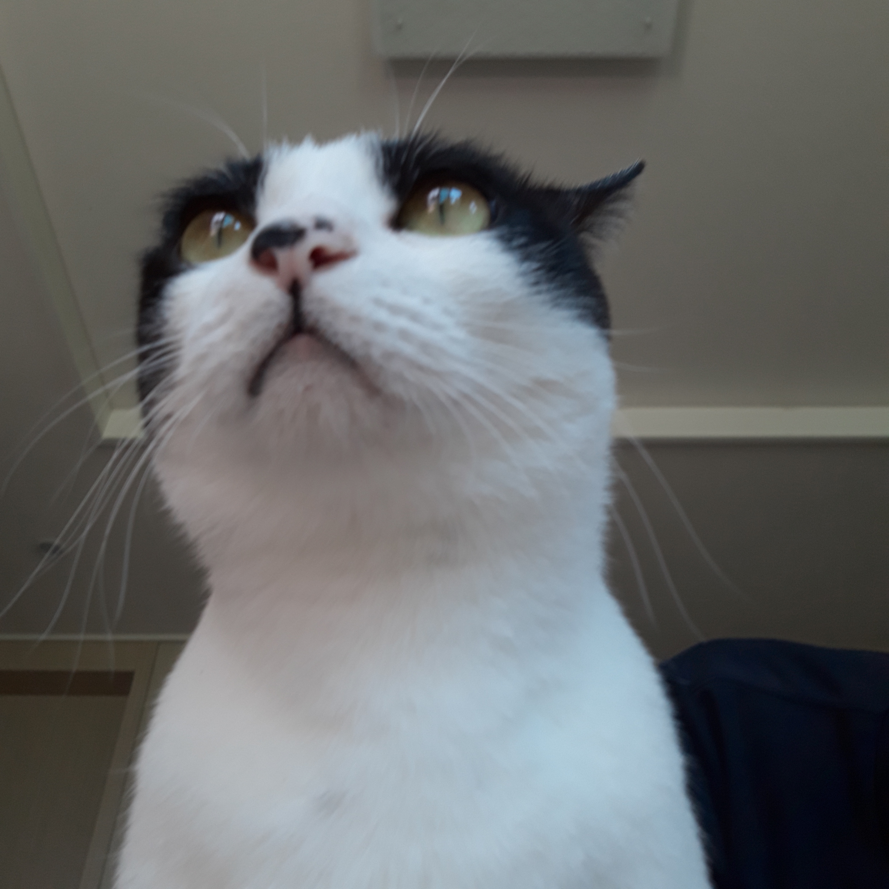 오월에 온 오월