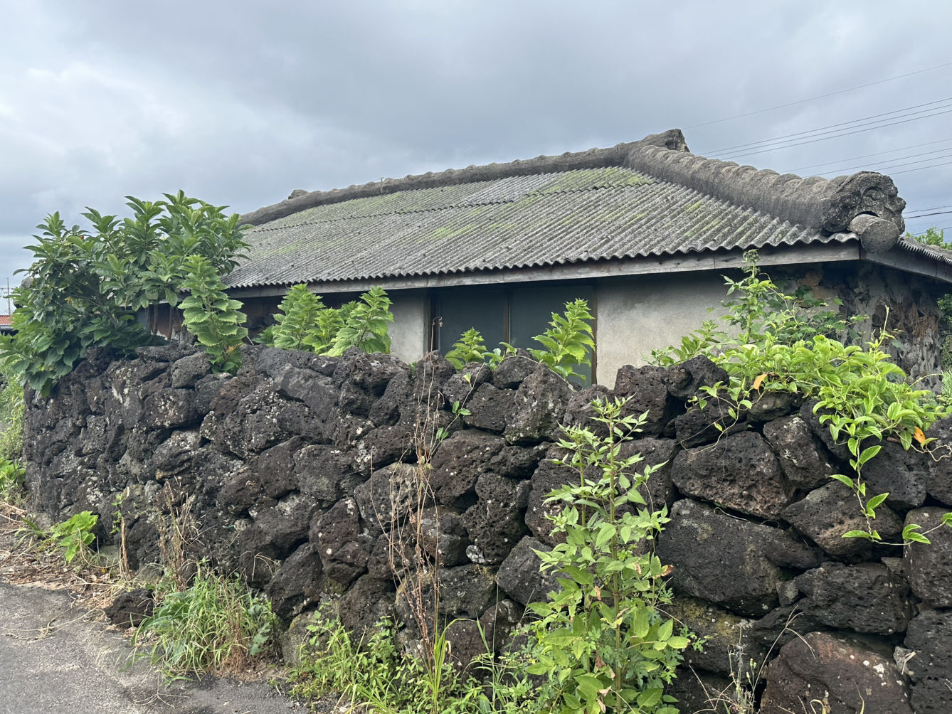 넹바리여행이야기