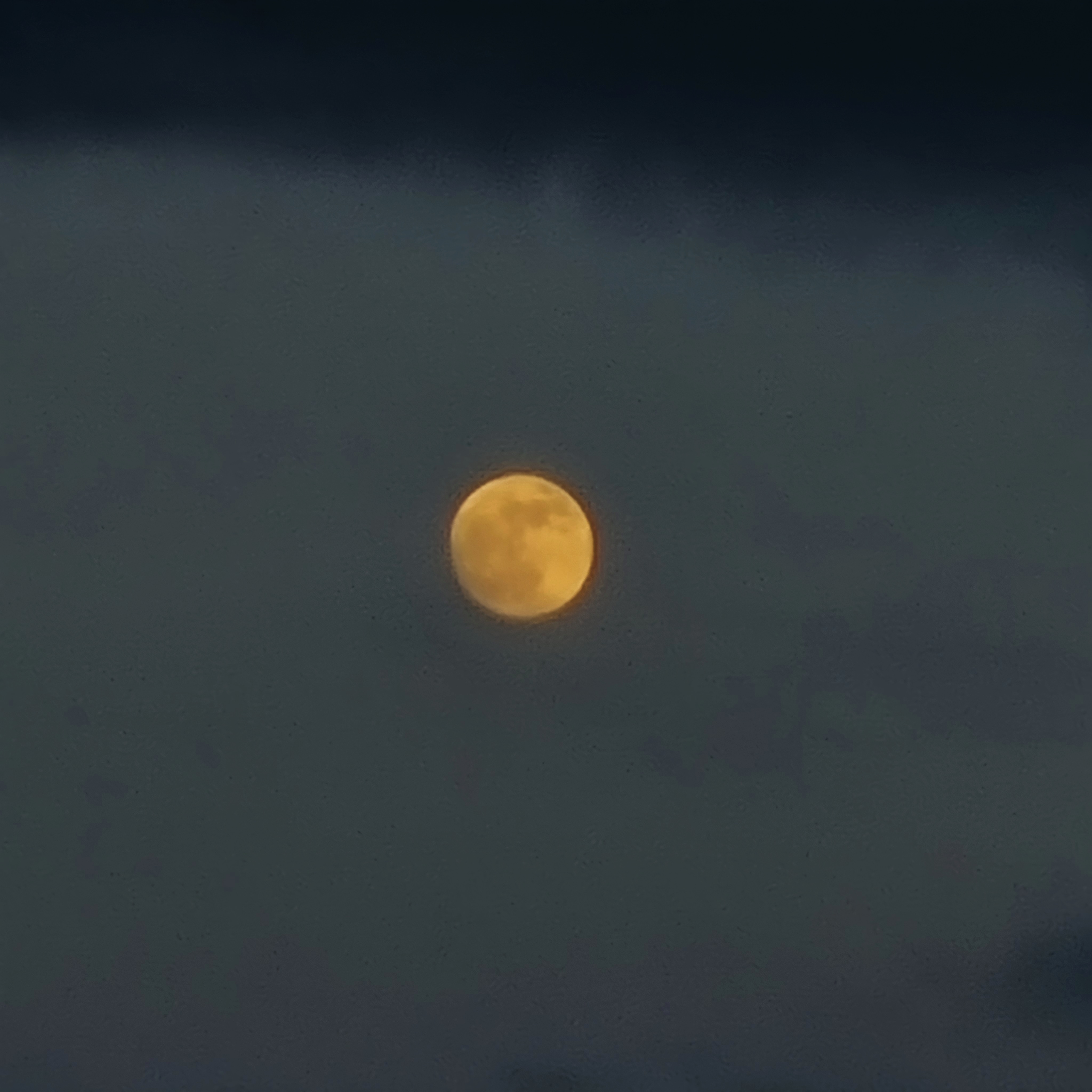 곧 다가올 아침