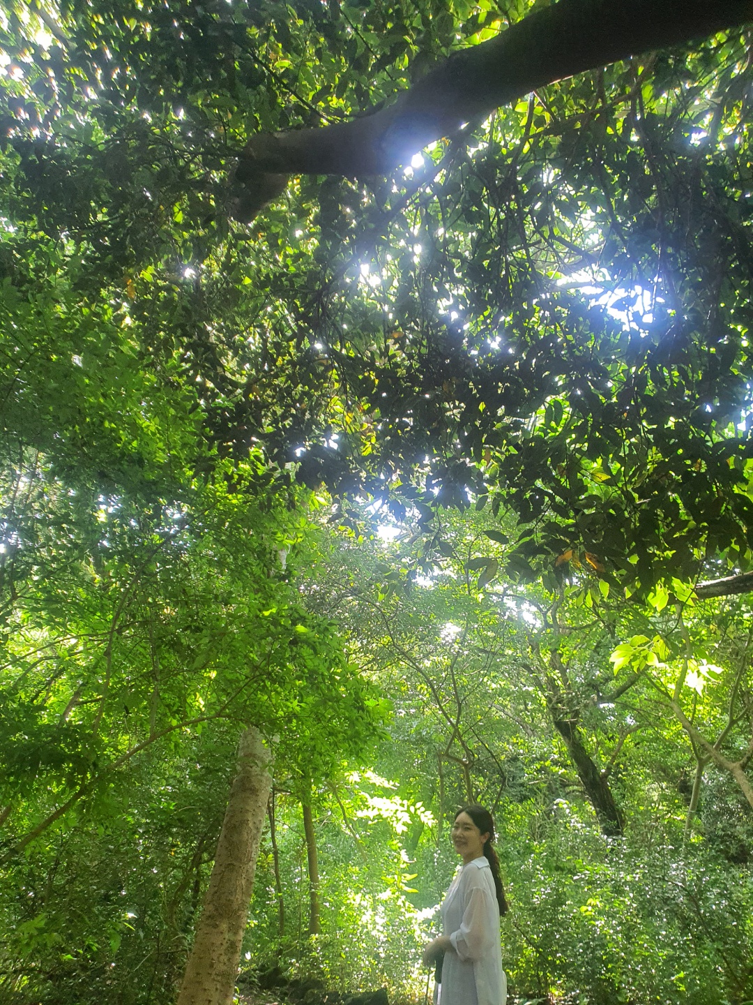 숲속에서산책하기