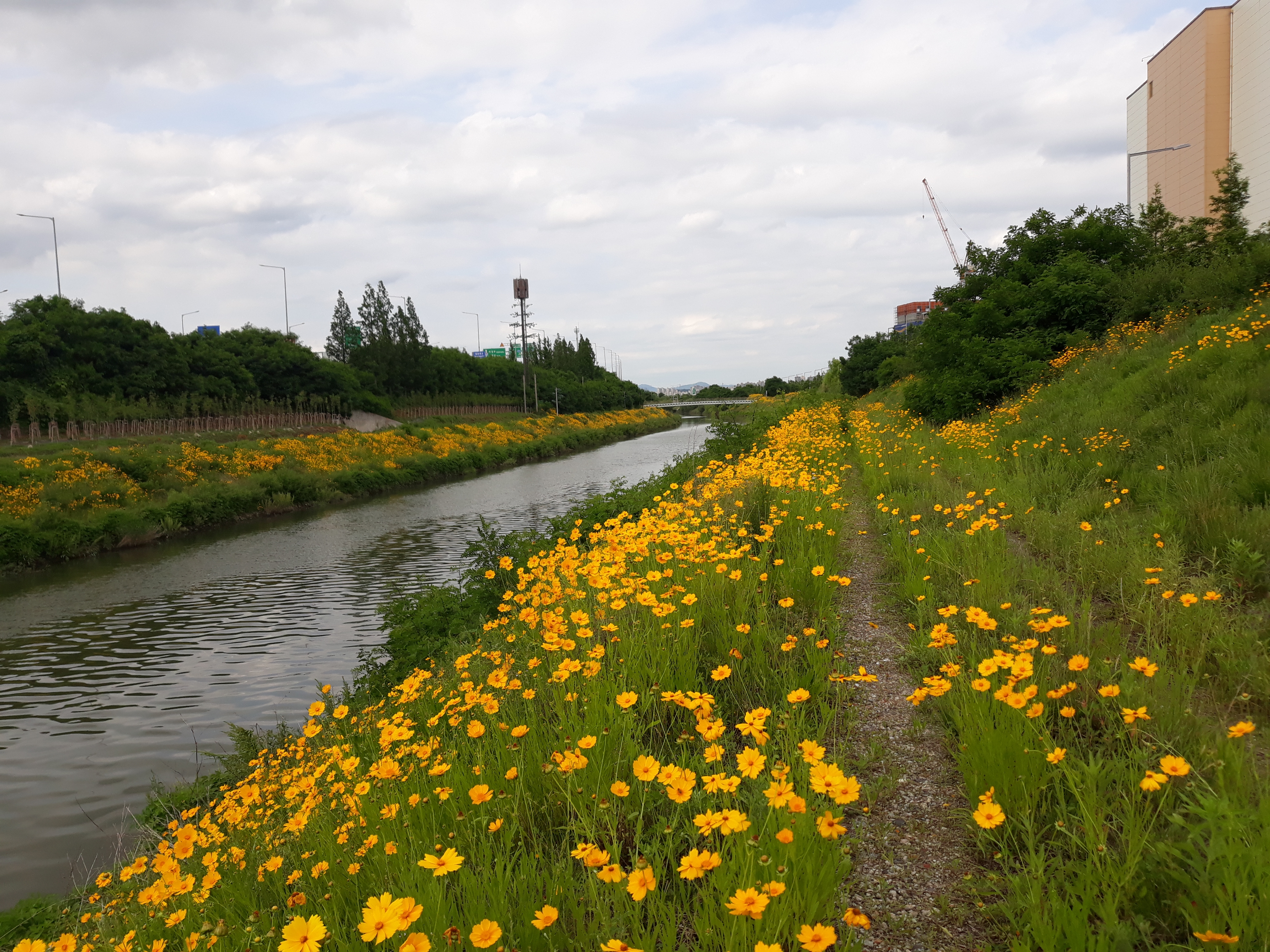수페가란즌자근별