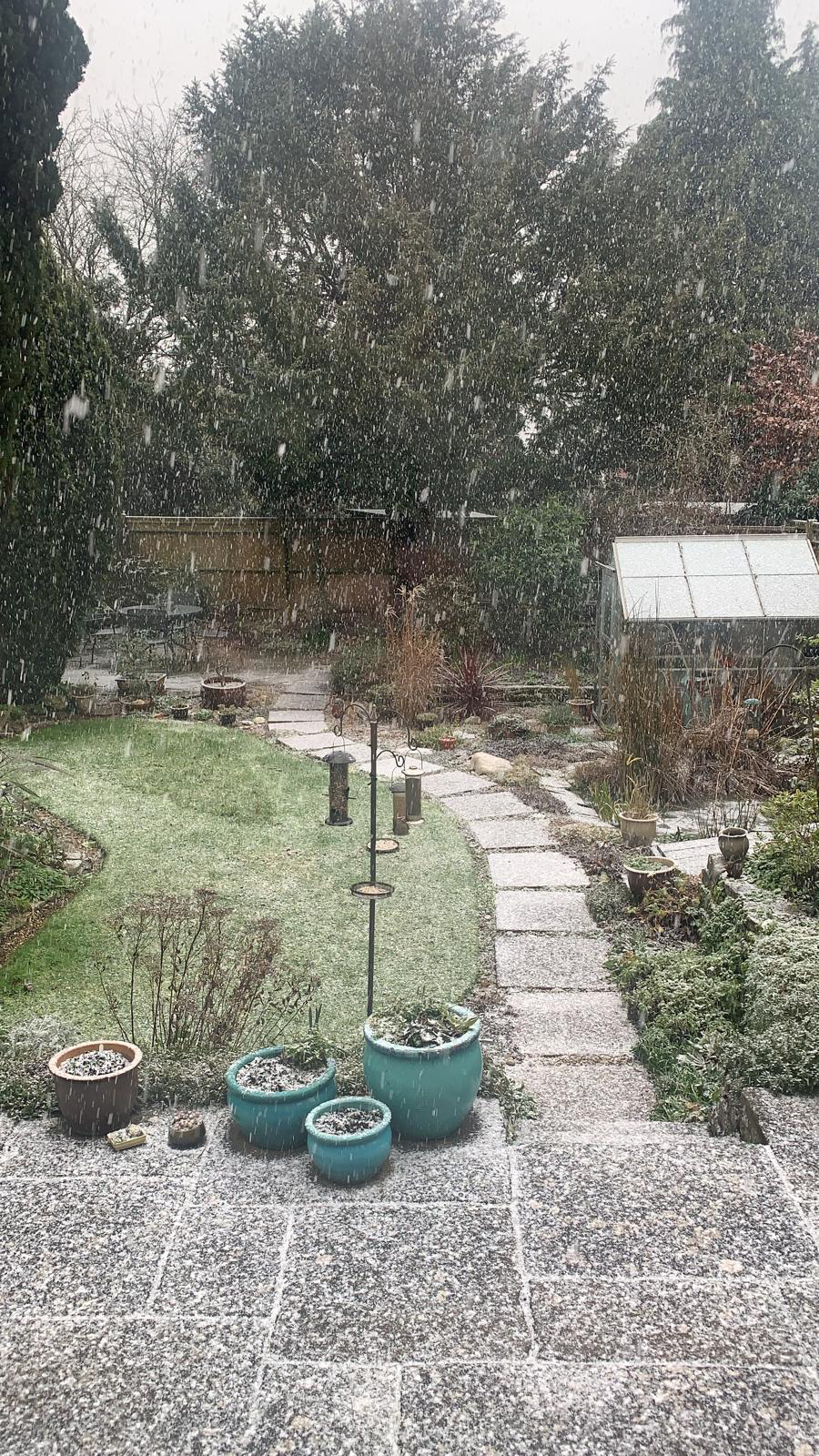 문열린새장속 갇힌새