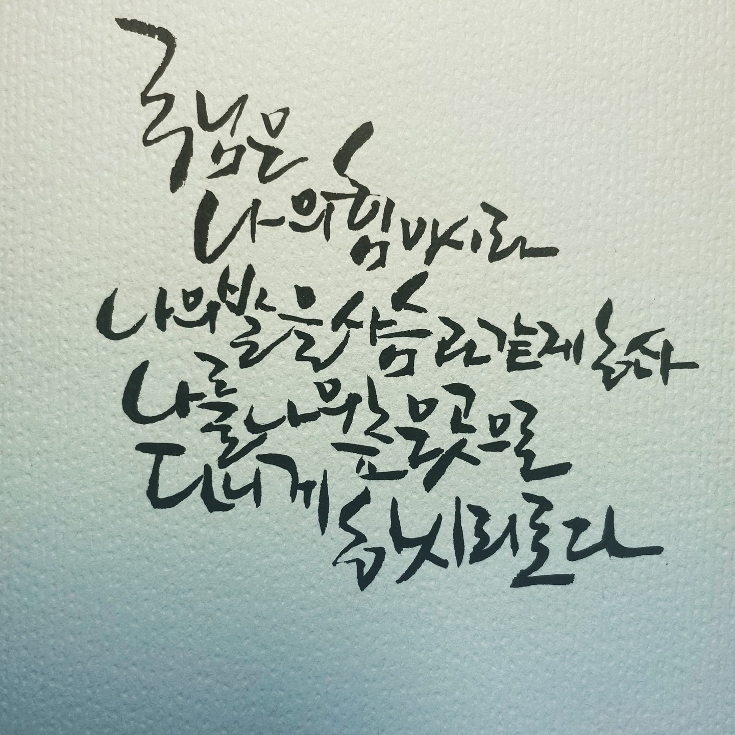 김진주