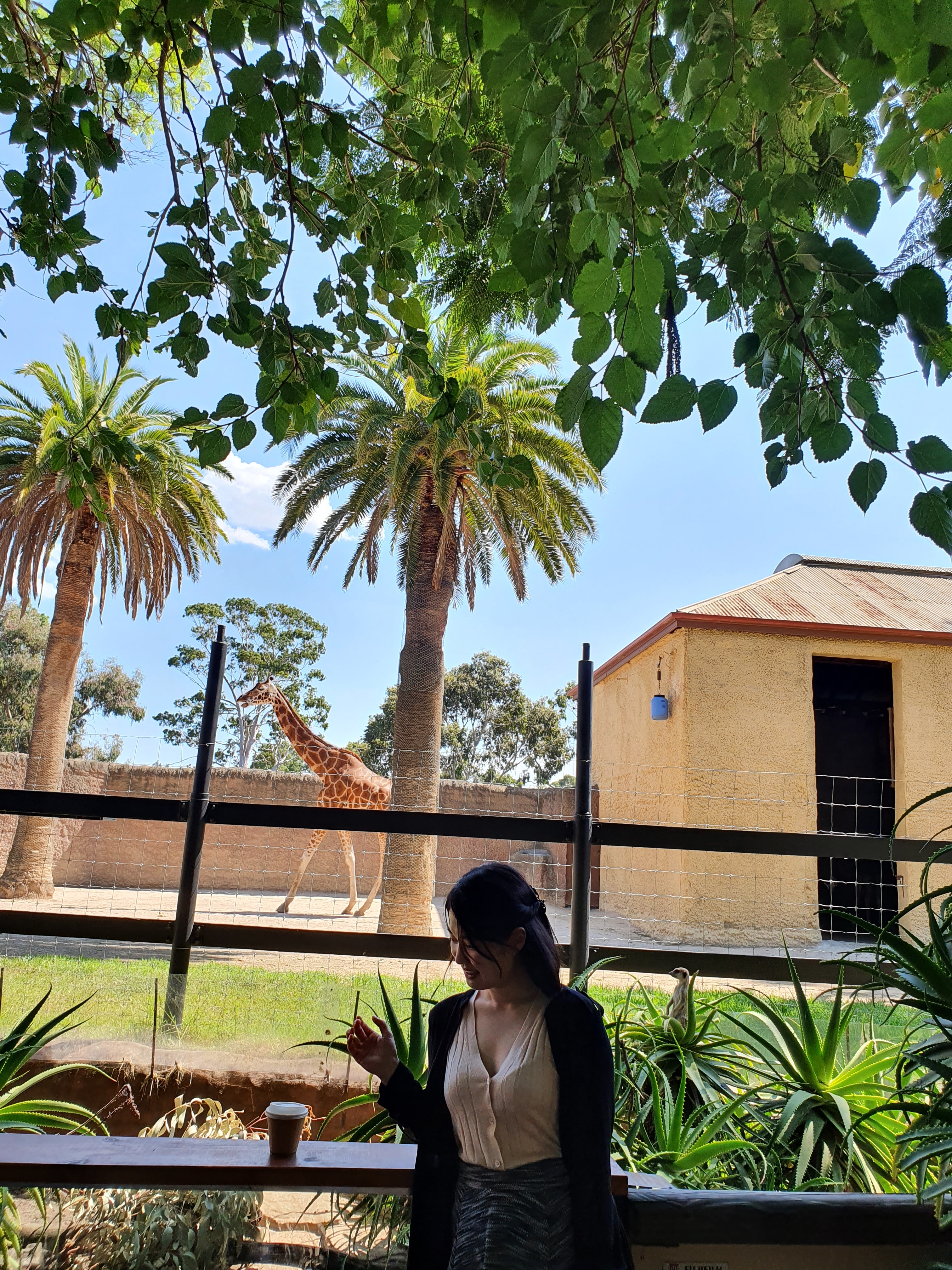 드리머월드dreamerworld