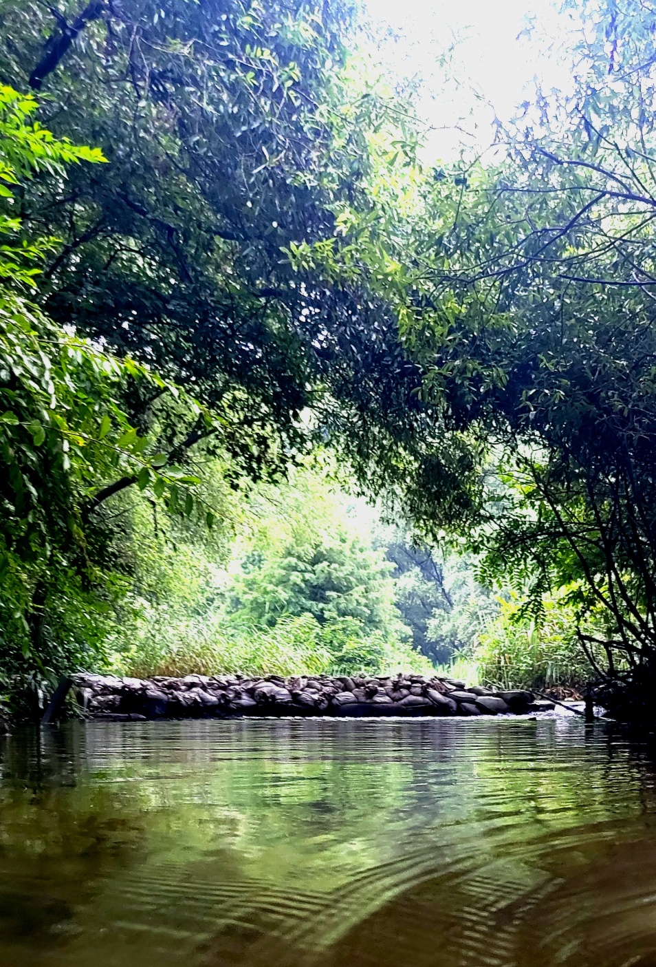 현경주하주영주원맘