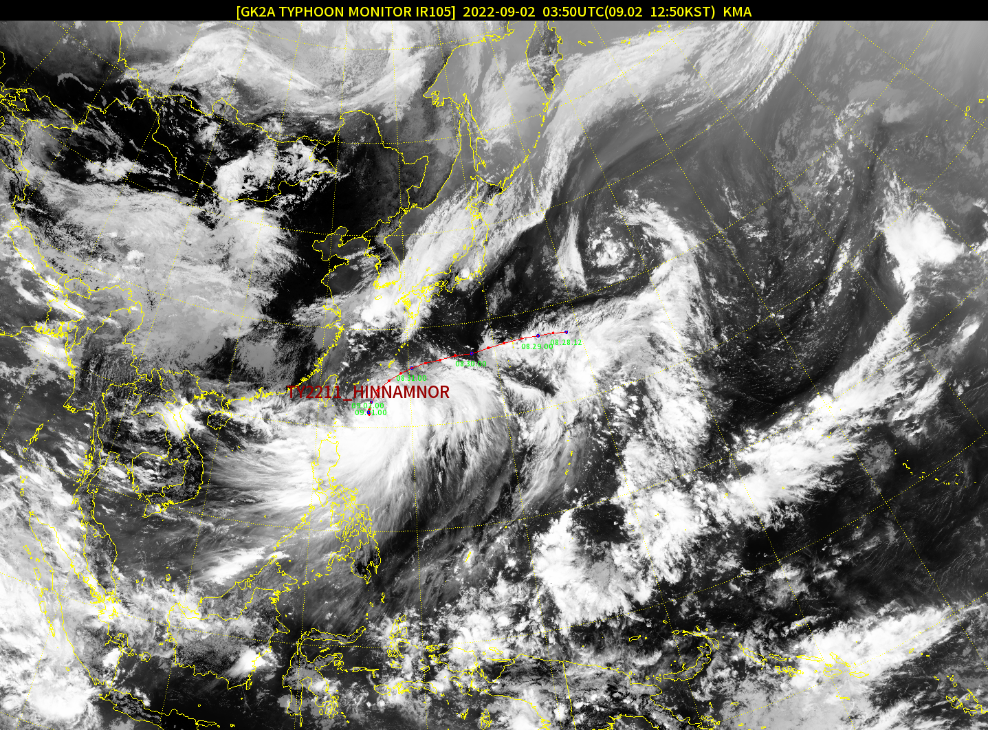 개나소나기자고작가래