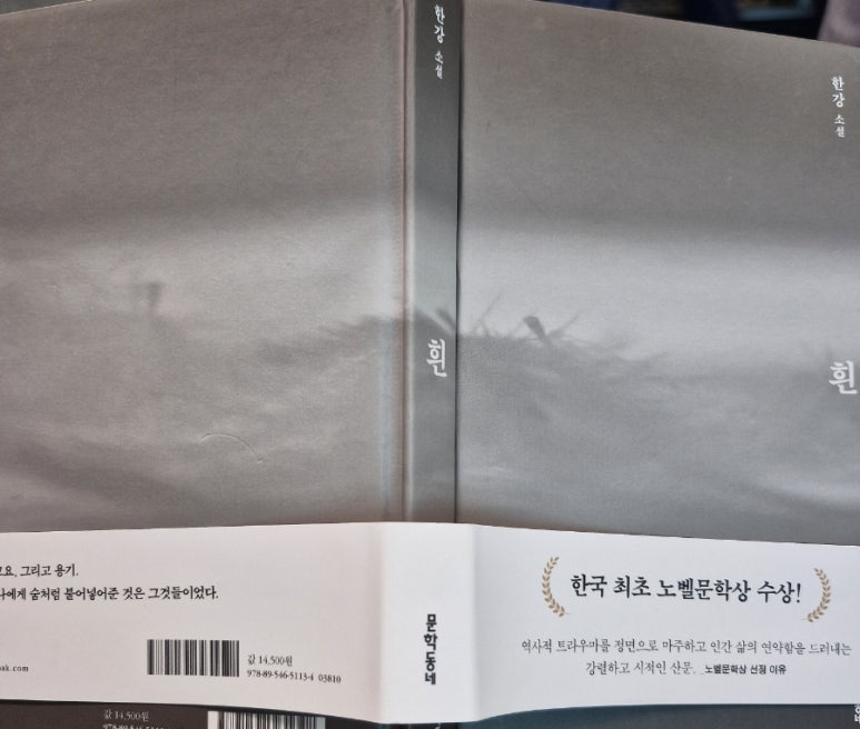 한강 작가 작품 다시 읽기 : 소년이 온다 희랍어 시간
