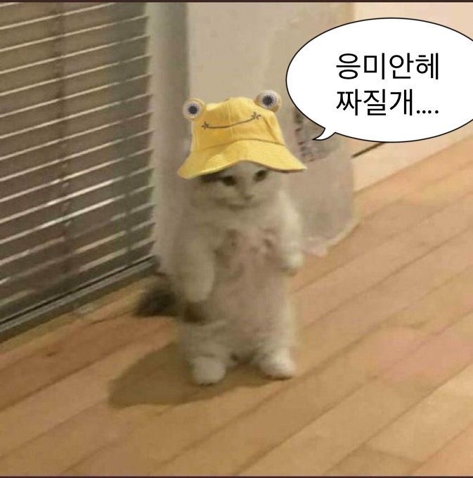 물만두팍