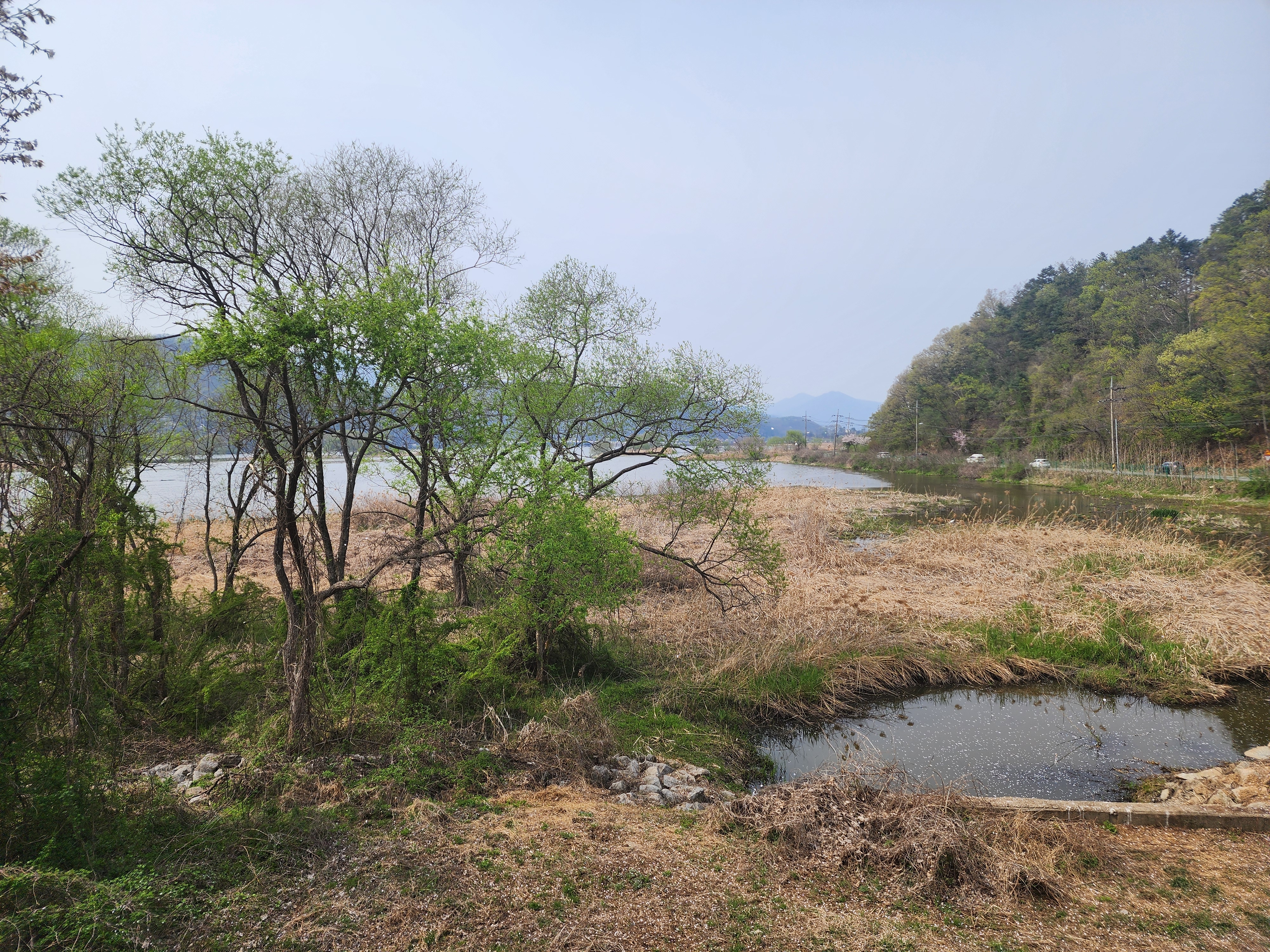 서평쓰는 반달곰