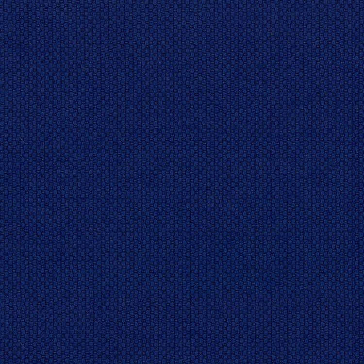 눈먼 자의 미몽