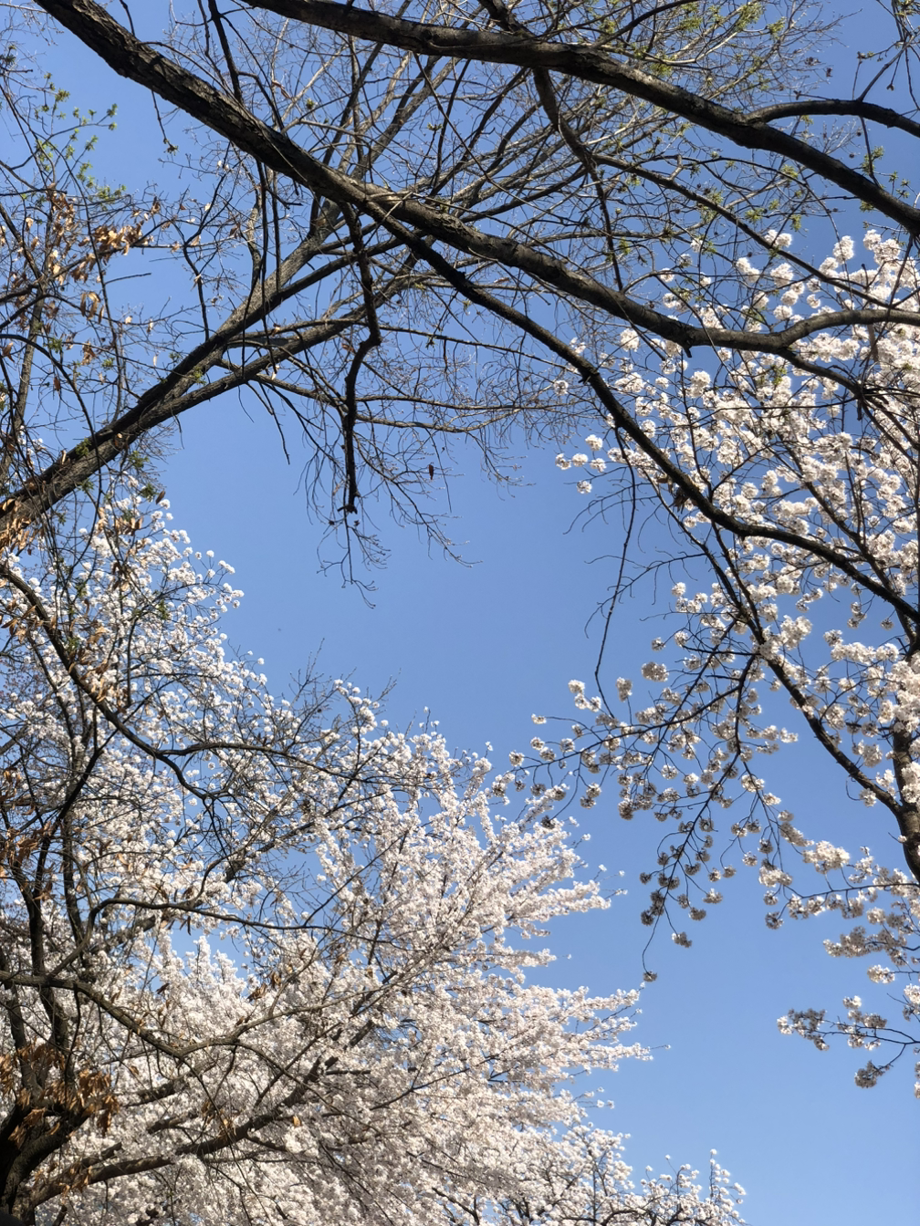 나는누구여긴어디