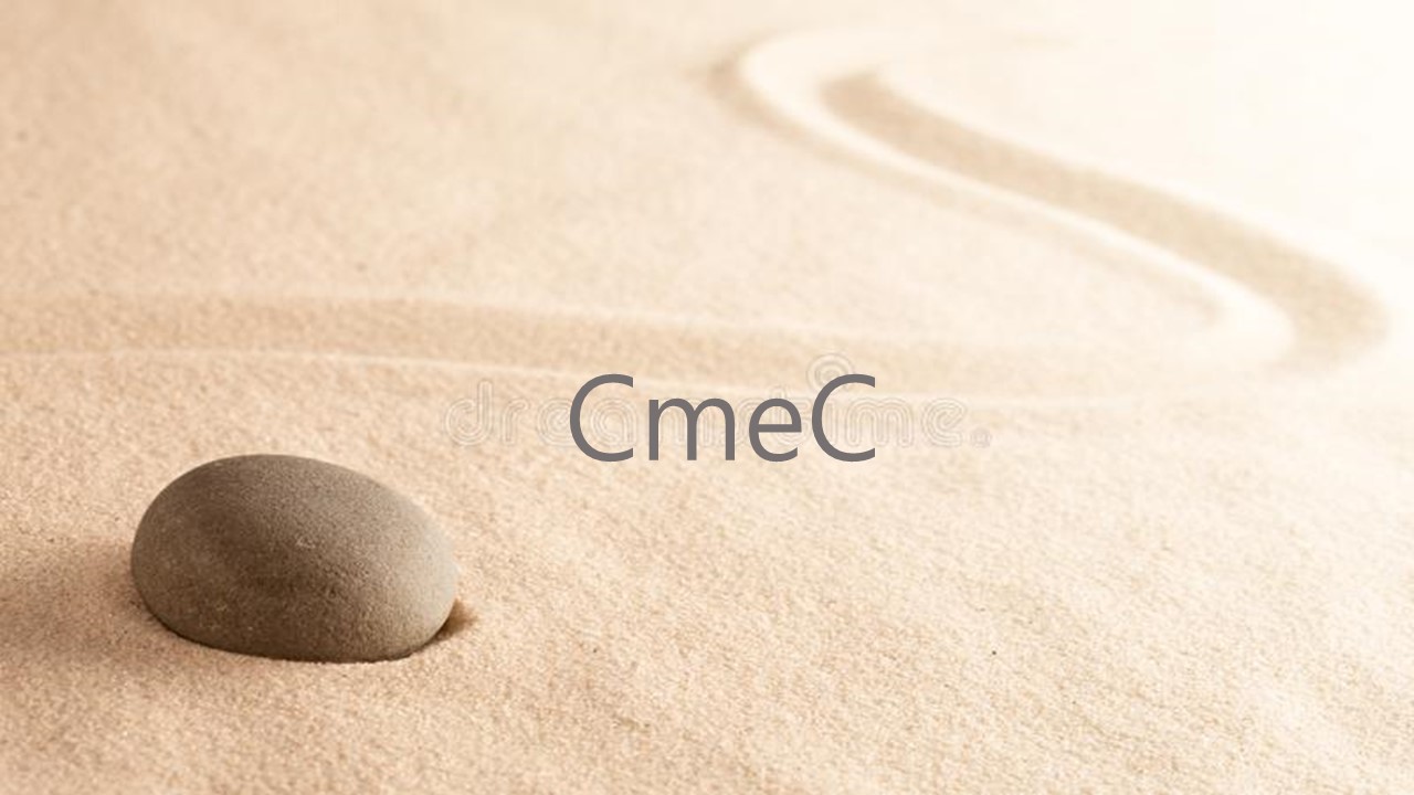 CmeC