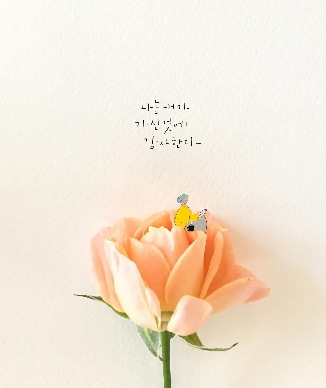 이돌파