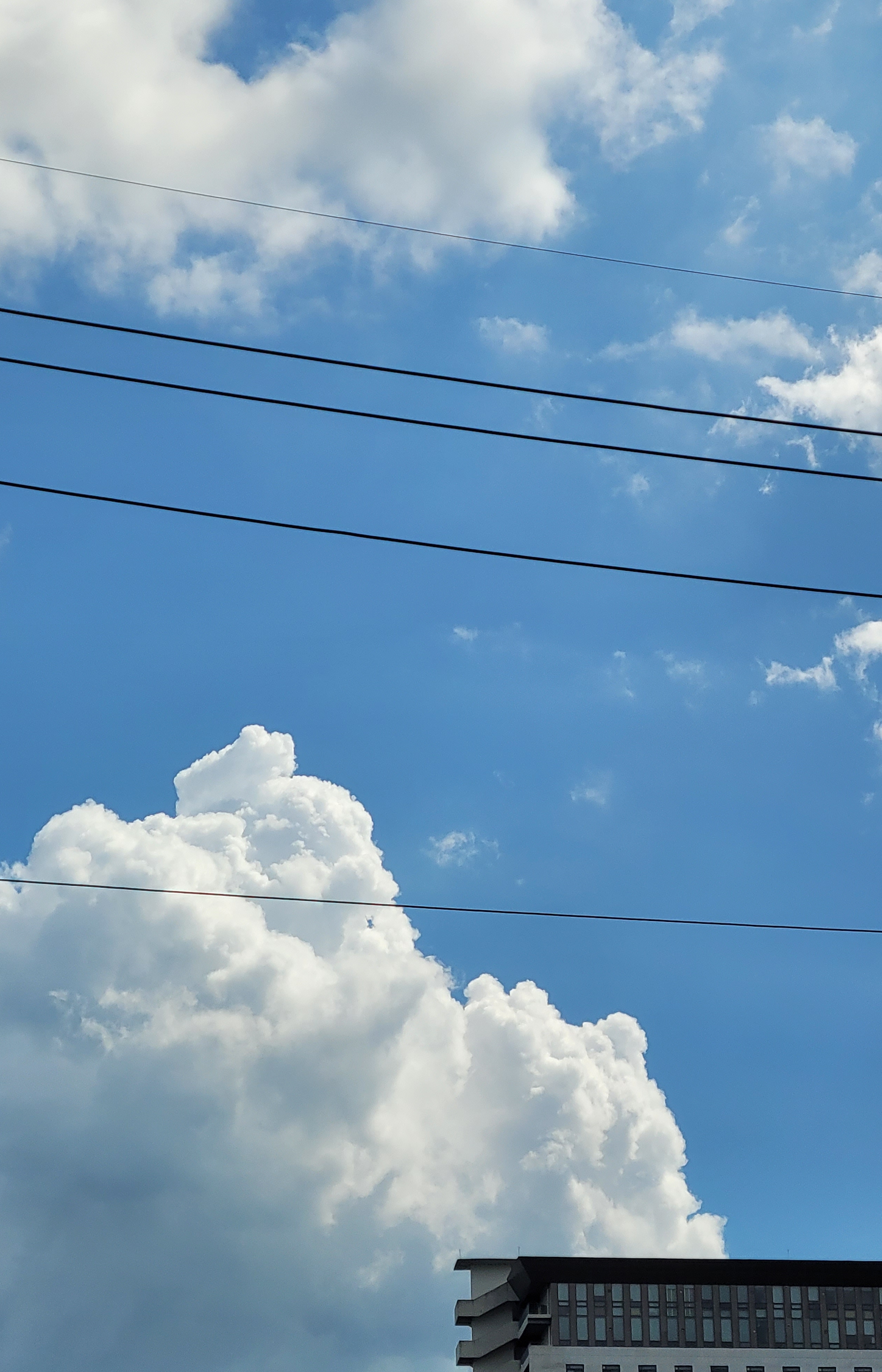 녹색틈빛생각구름