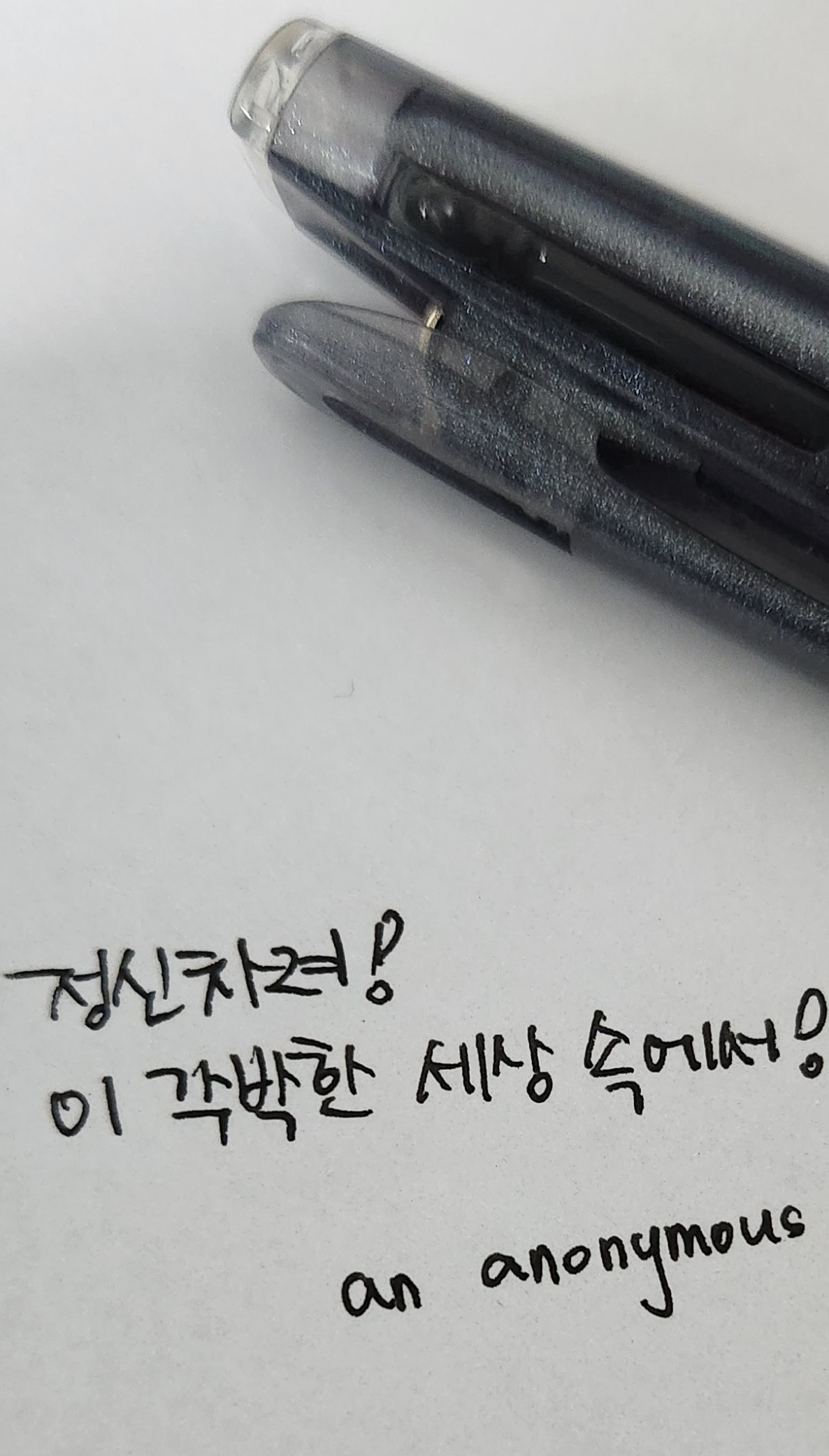 글쓰는 돌문어씨