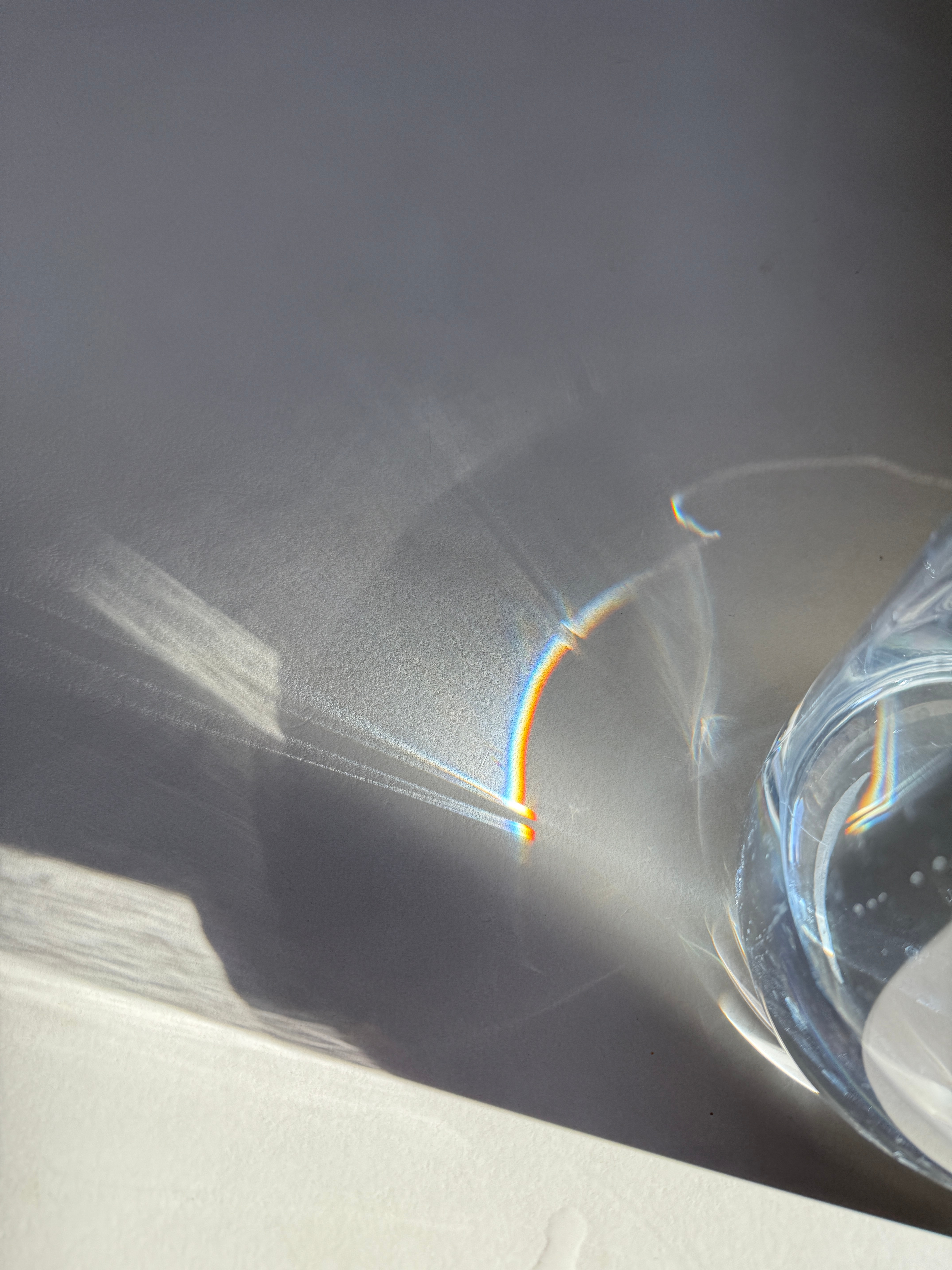 The tiny seed 작은씨