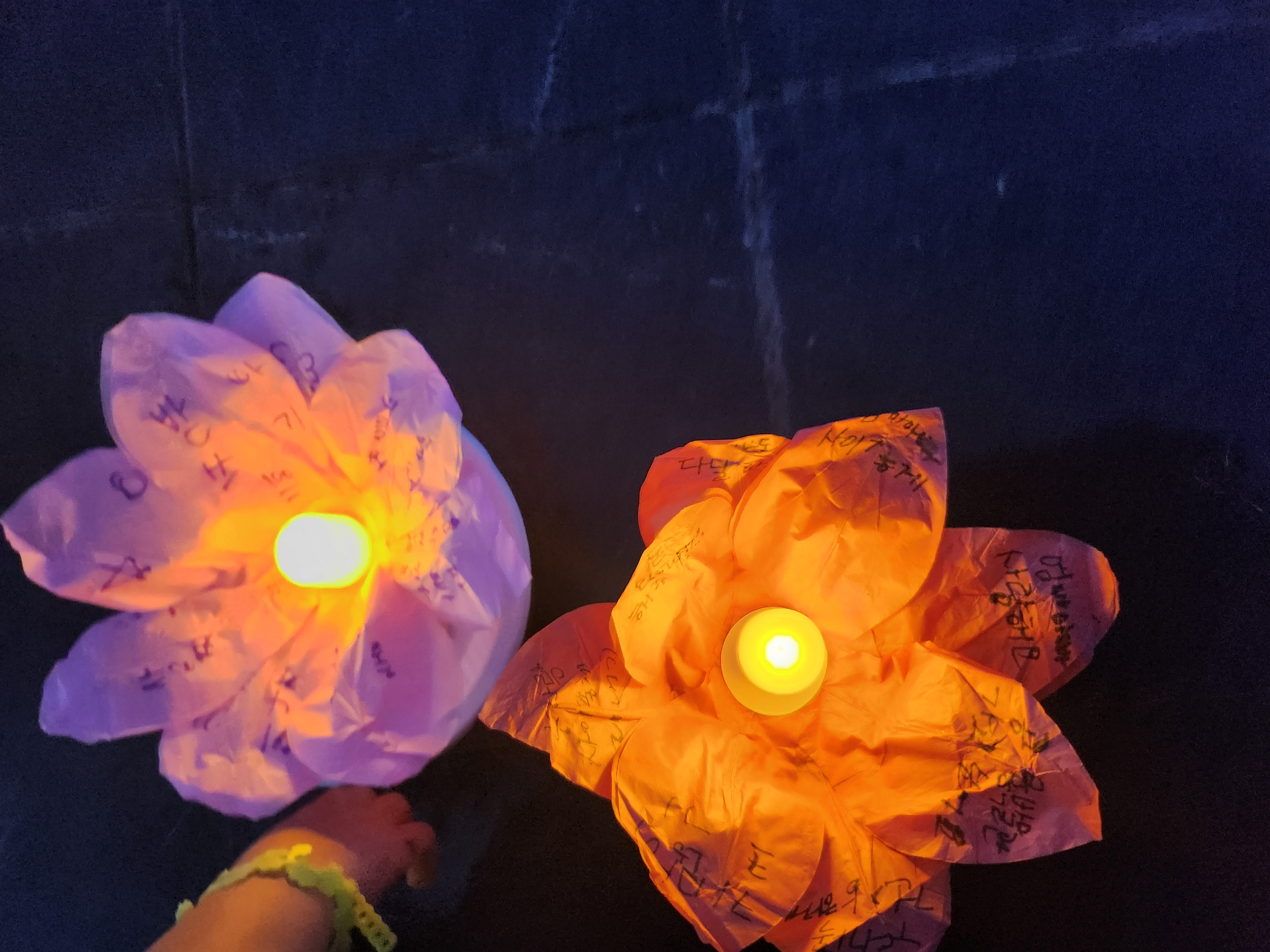 행복한 이기주의자