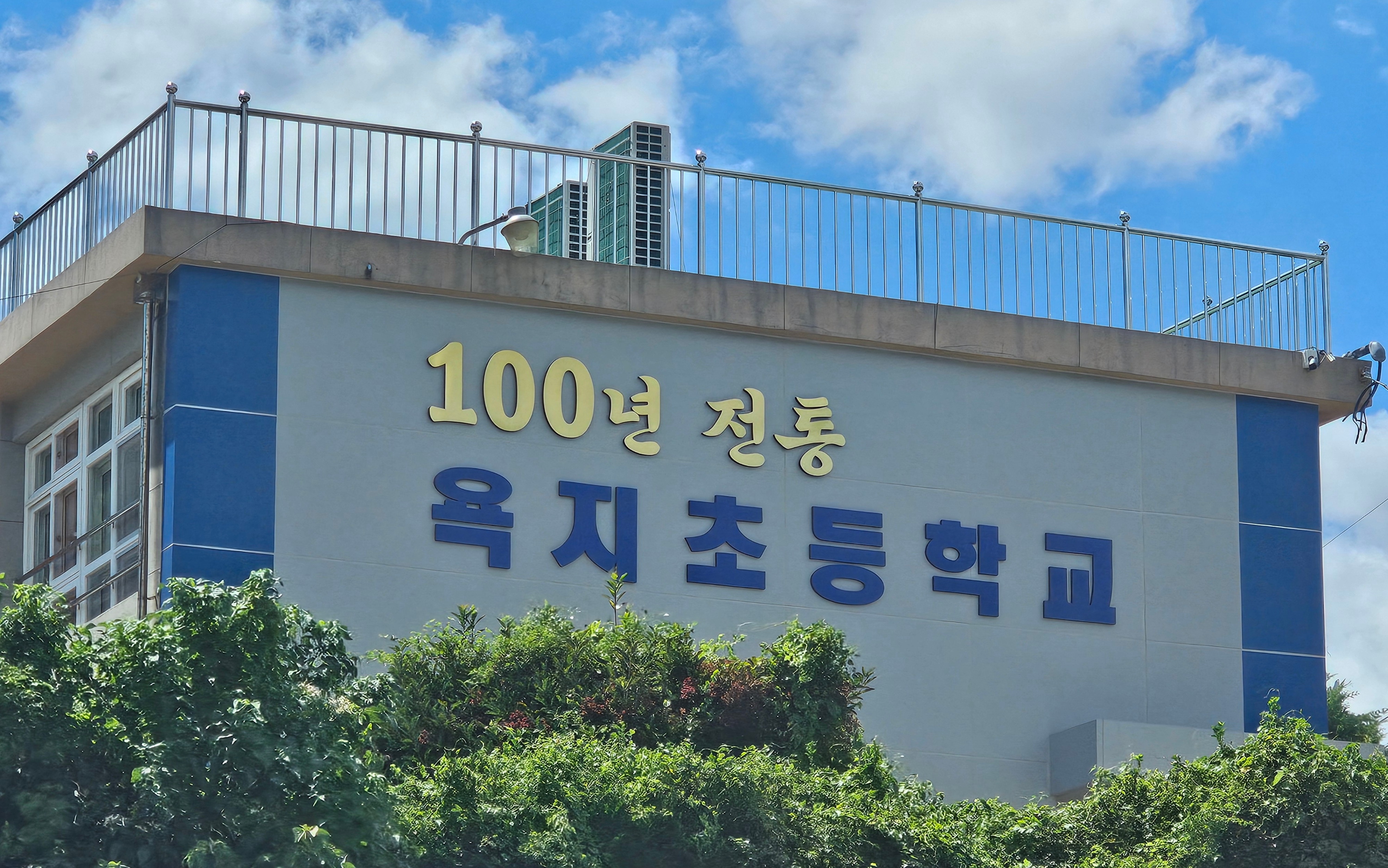 바다숲 풀내음 이미지