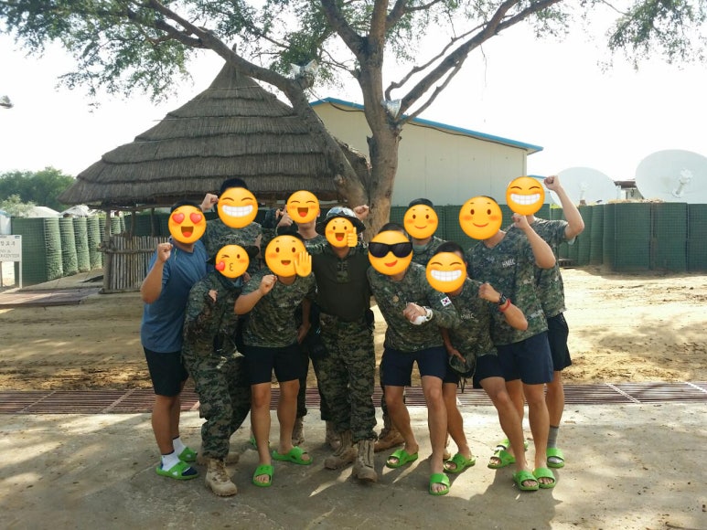 보르 이미지
