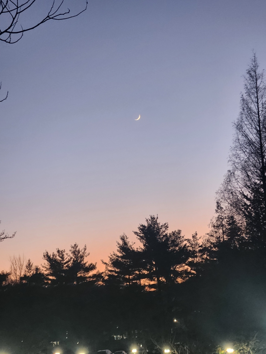 손톱,달 이미지