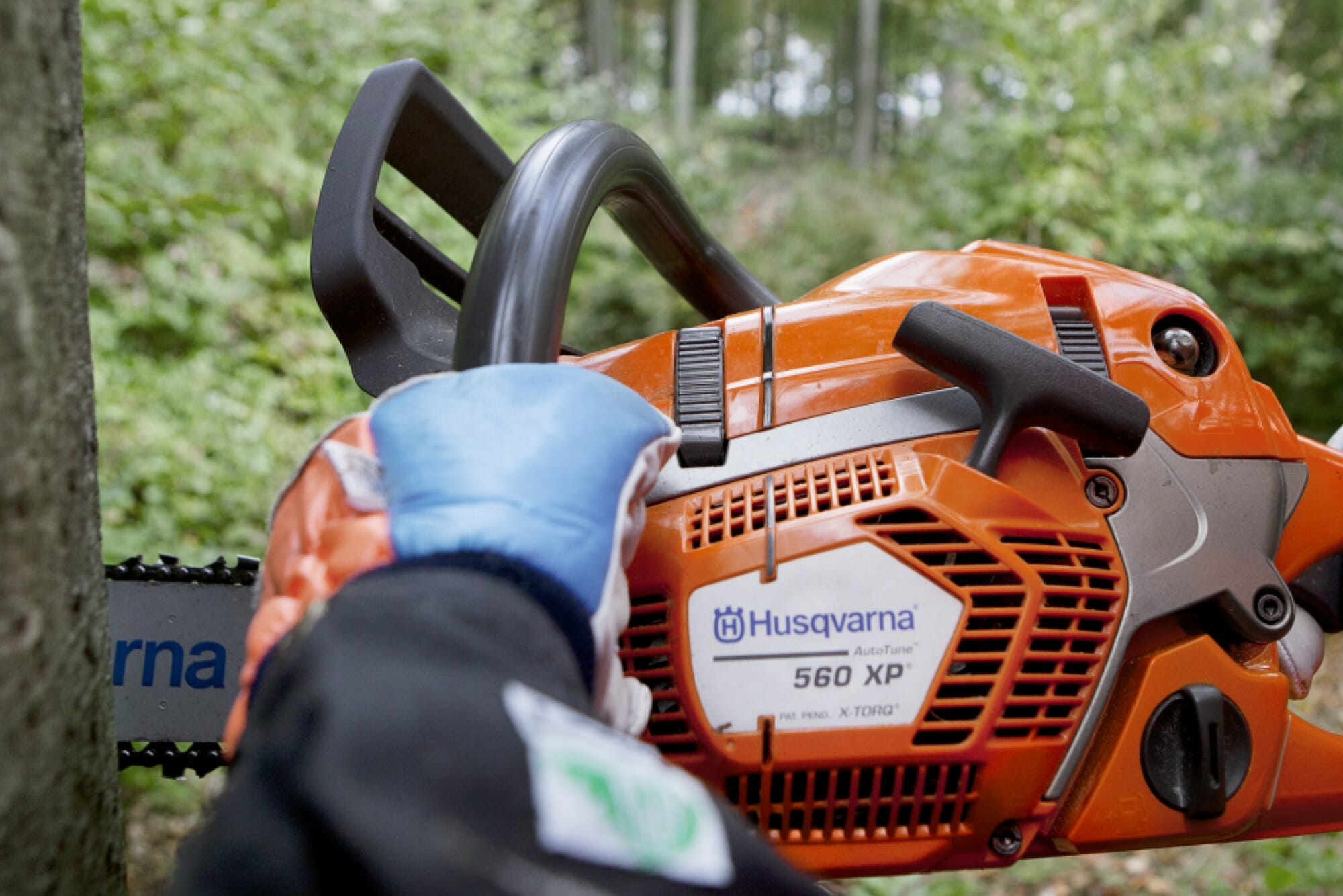 Thicker trunks with ground contact at both ends - Husqvarna Chainsaw Academy