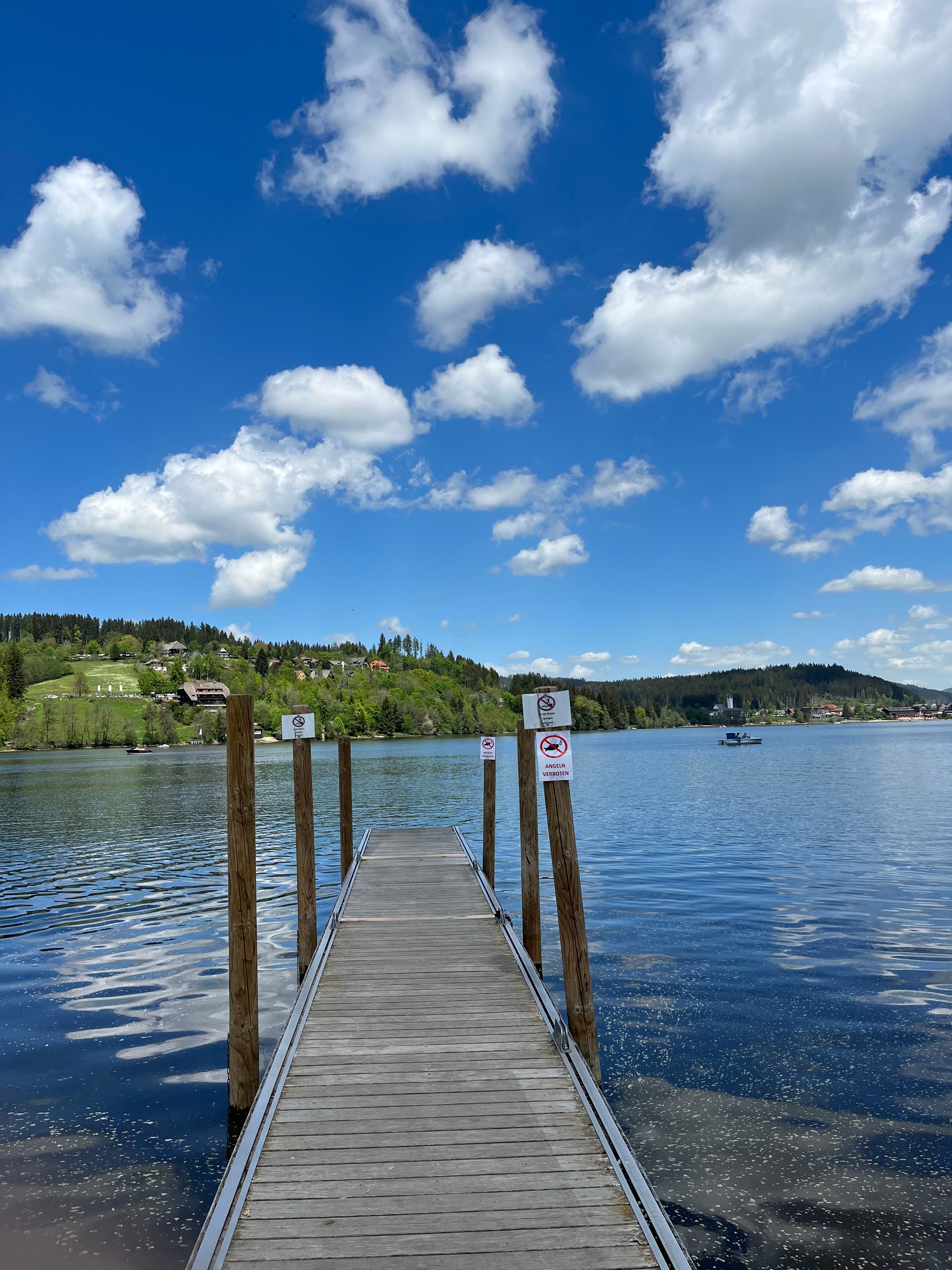 어느 소시민의 일기