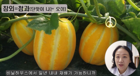 참좋은에너지 이미지