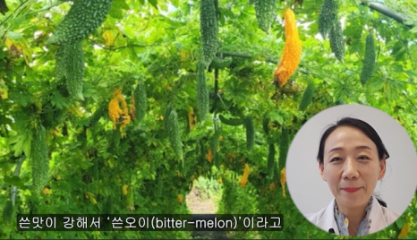 식미안 이미지