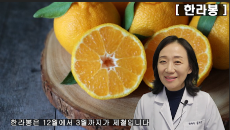 한라봉관광 이미지