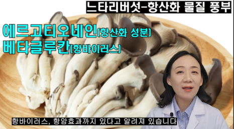 노화종합가스 이미지