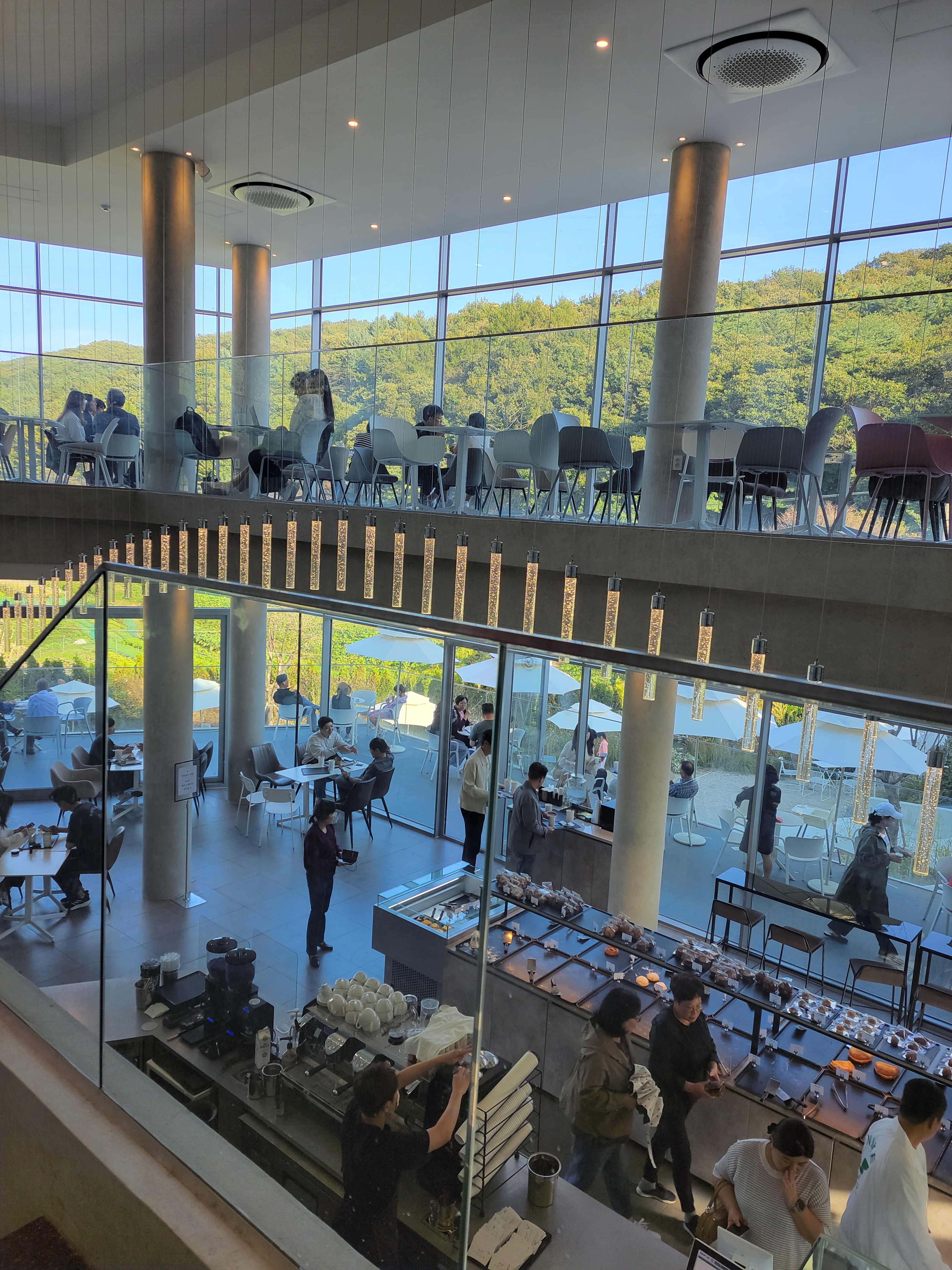 독자
