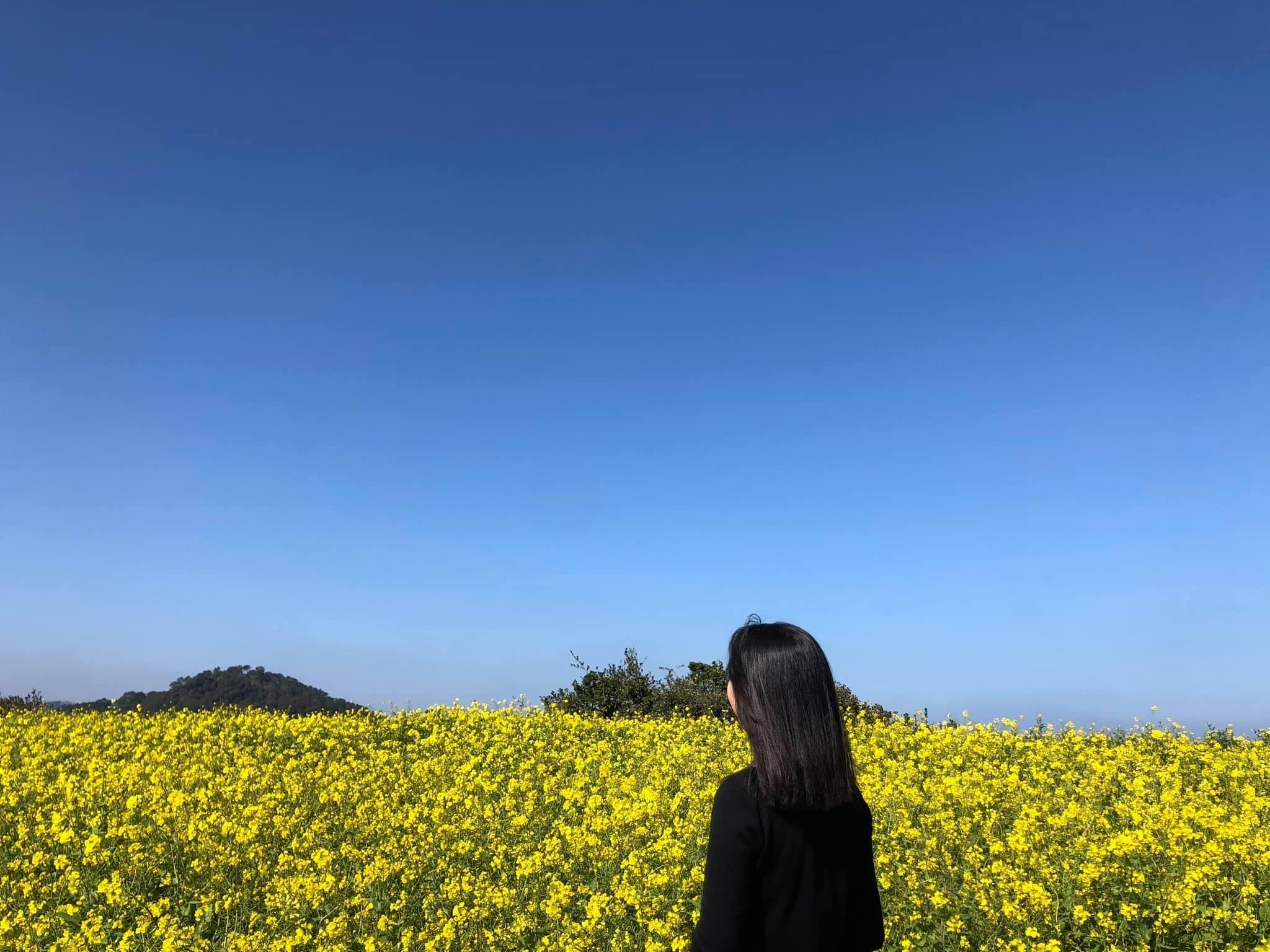 덴드리 이미지