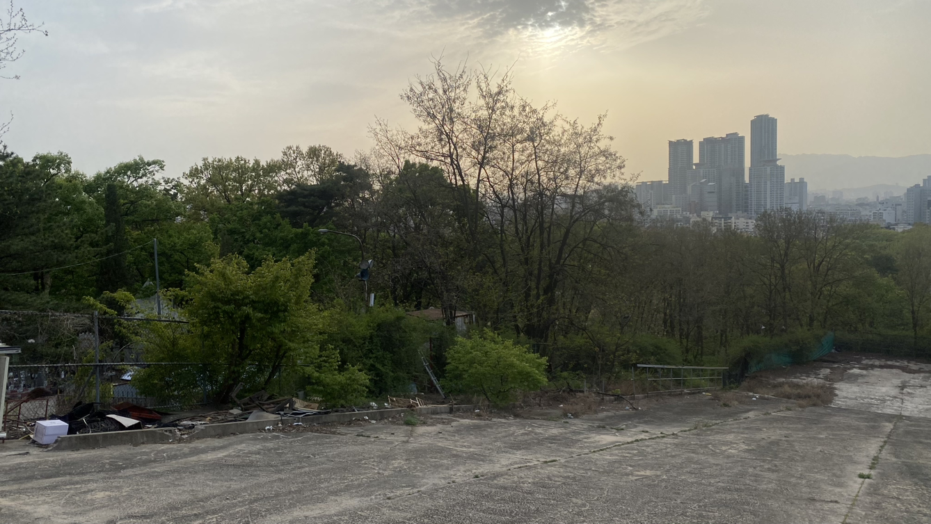 이니미니마니모